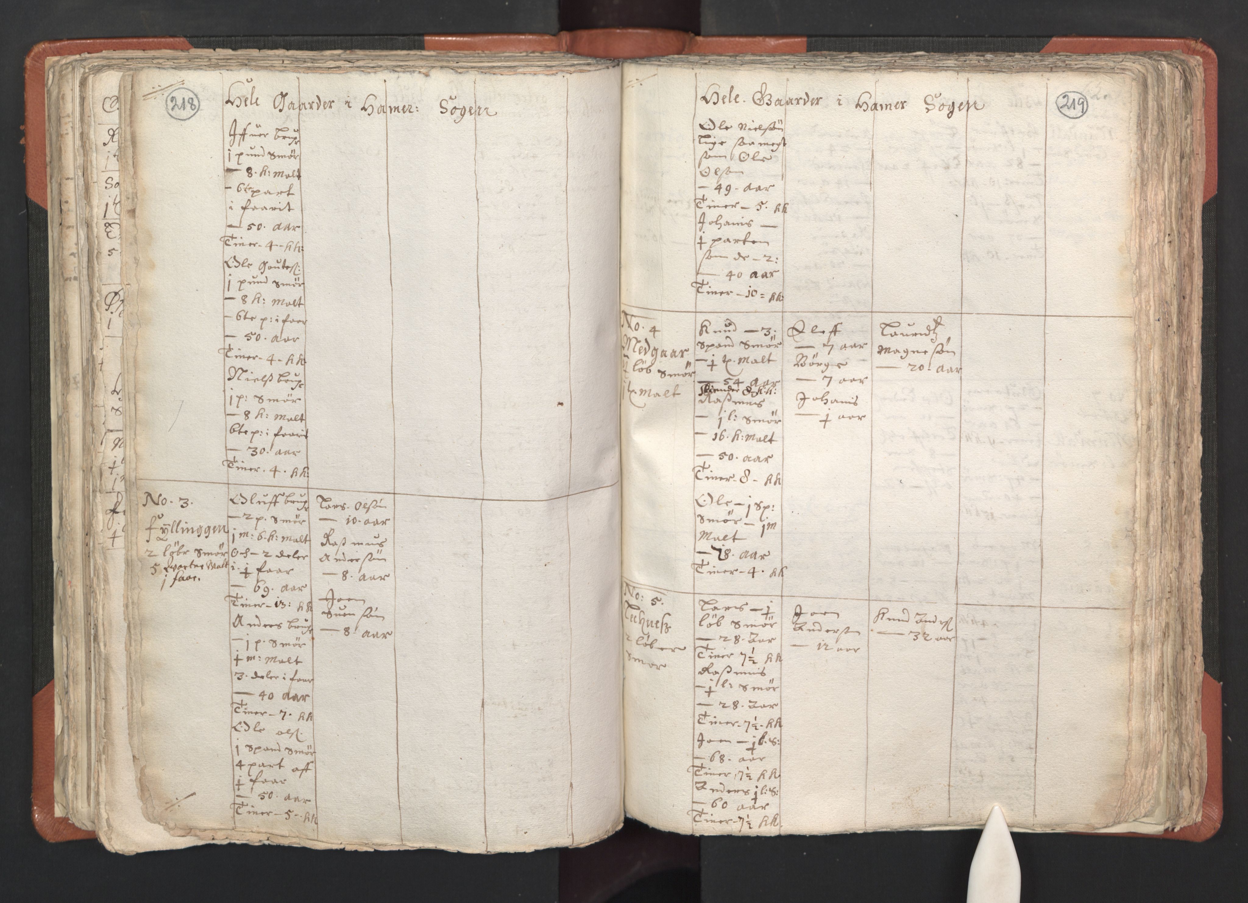 RA, Vicar's Census 1664-1666, no. 22: Nordhordland deanery, 1664-1666, p. 218-219