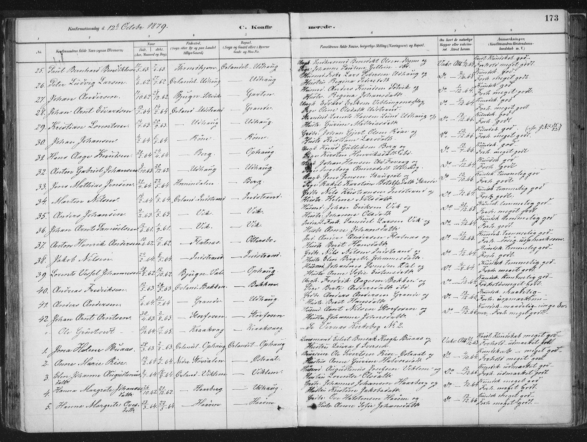 Ministerialprotokoller, klokkerbøker og fødselsregistre - Sør-Trøndelag, SAT/A-1456/659/L0739: Parish register (official) no. 659A09, 1879-1893, p. 173