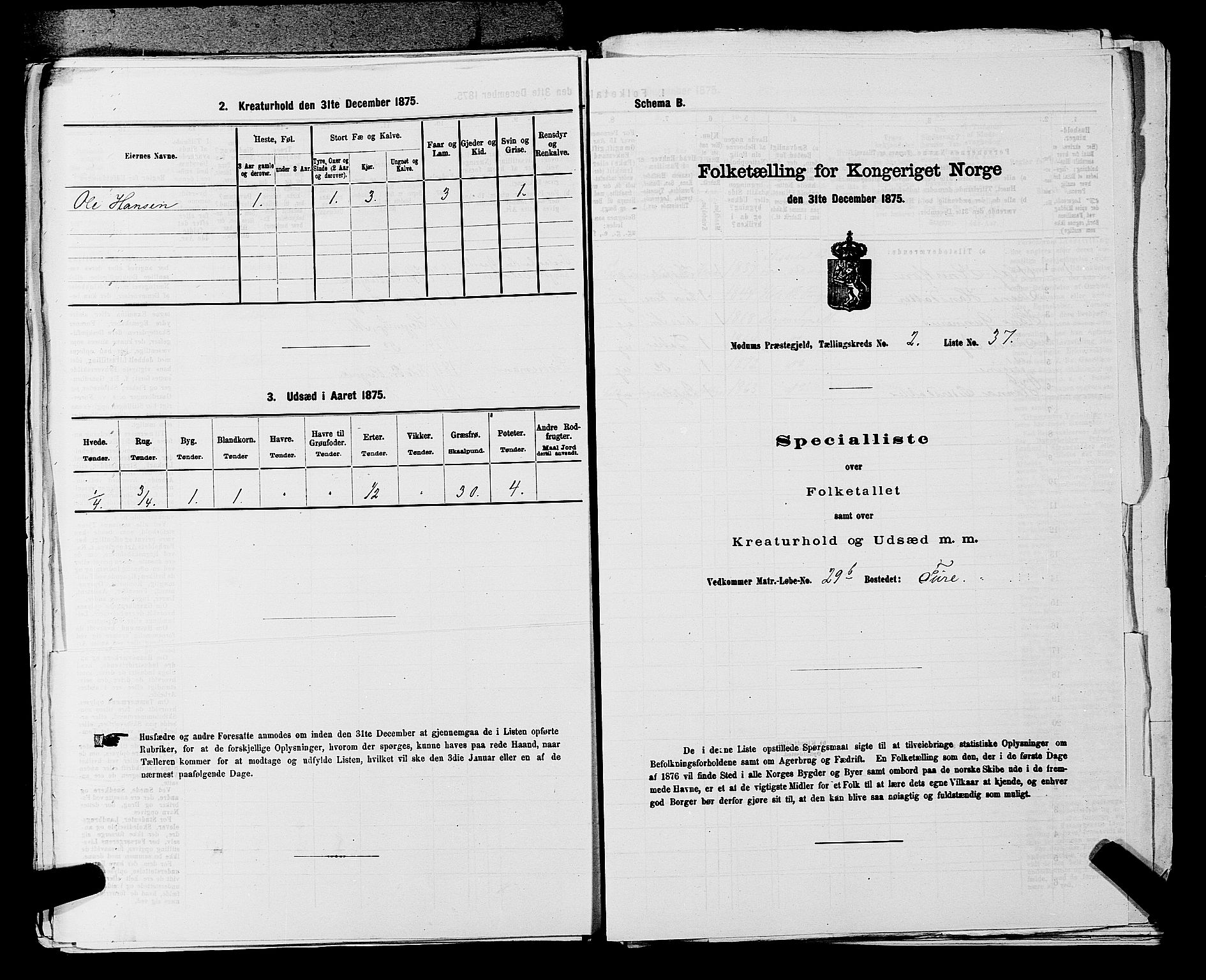 SAKO, 1875 census for 0623P Modum, 1875, p. 306