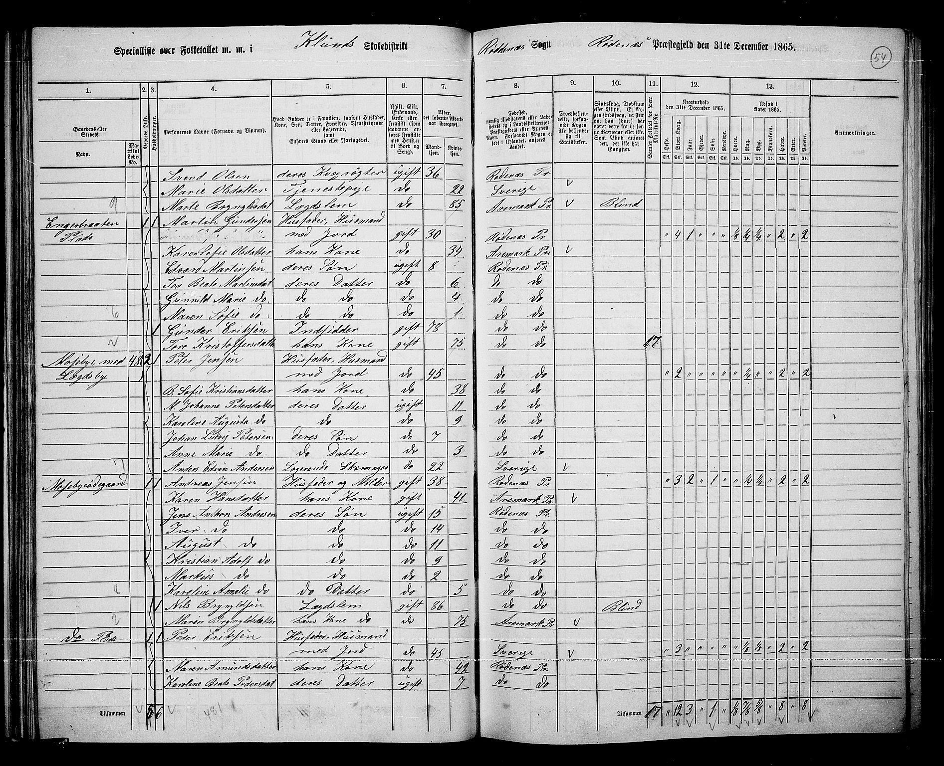 RA, 1865 census for Rødenes, 1865, p. 50