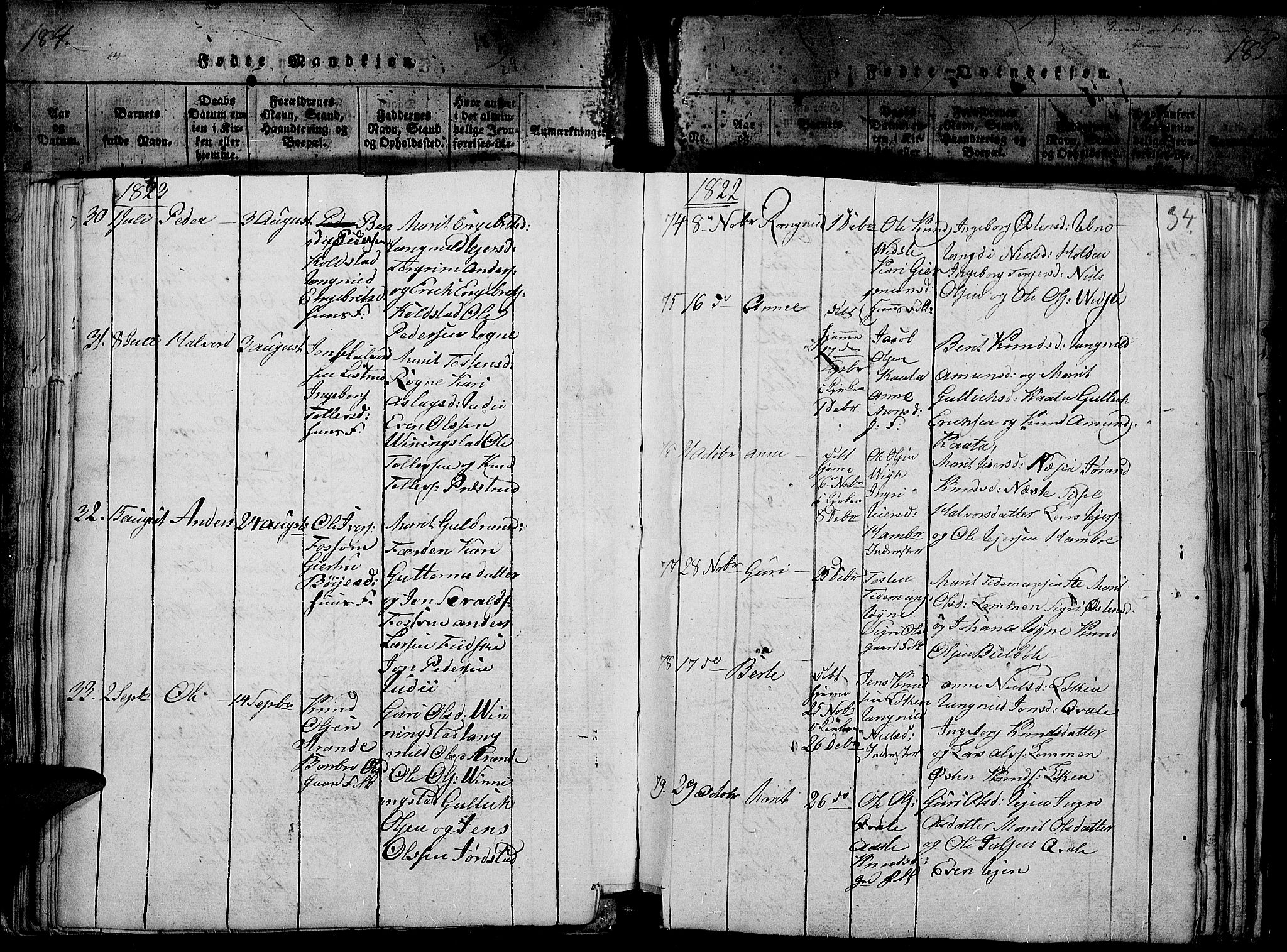 Slidre prestekontor, SAH/PREST-134/H/Ha/Haa/L0002: Parish register (official) no. 2, 1814-1830, p. 185h