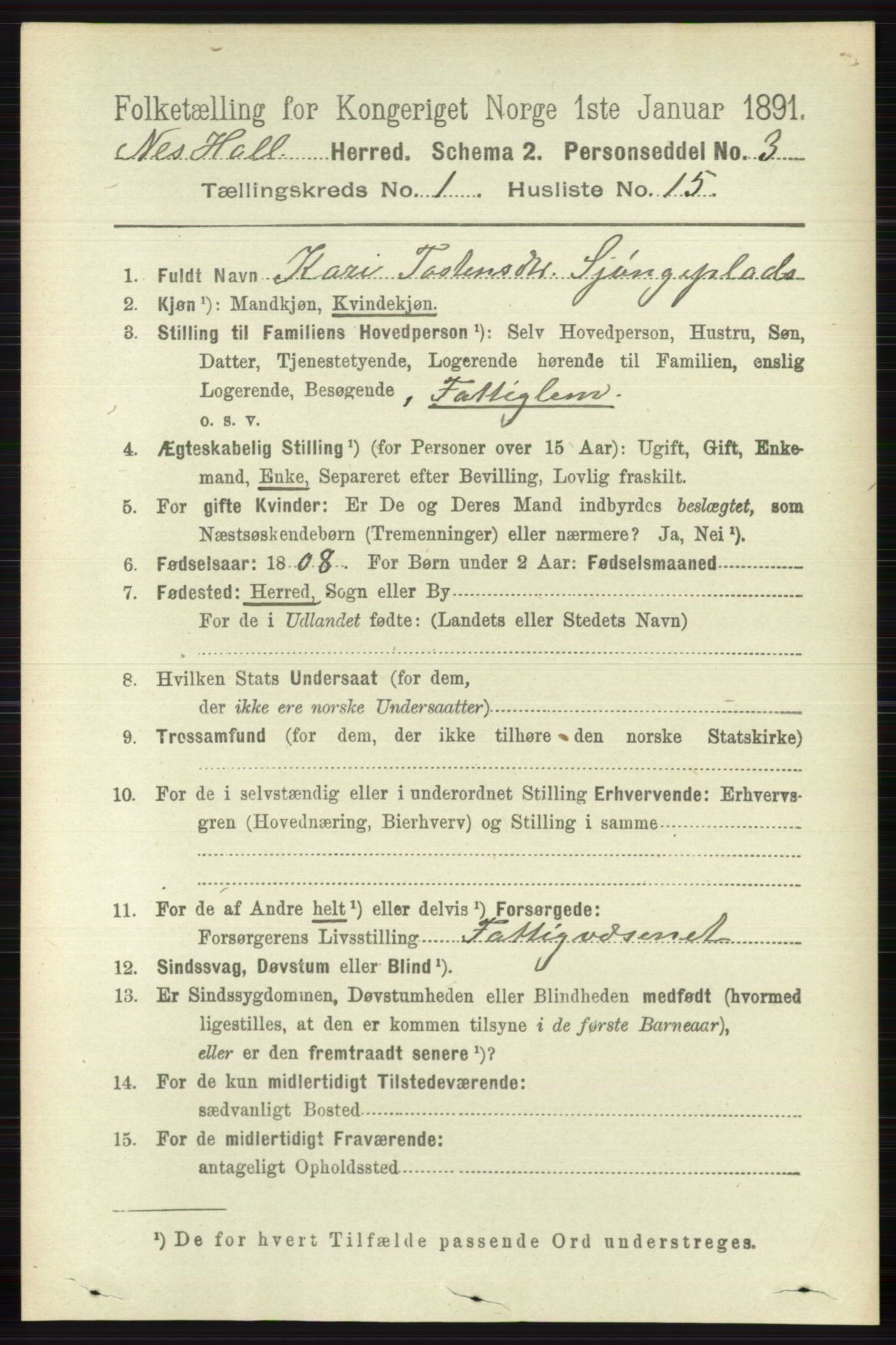 RA, 1891 census for 0616 Nes, 1891, p. 246