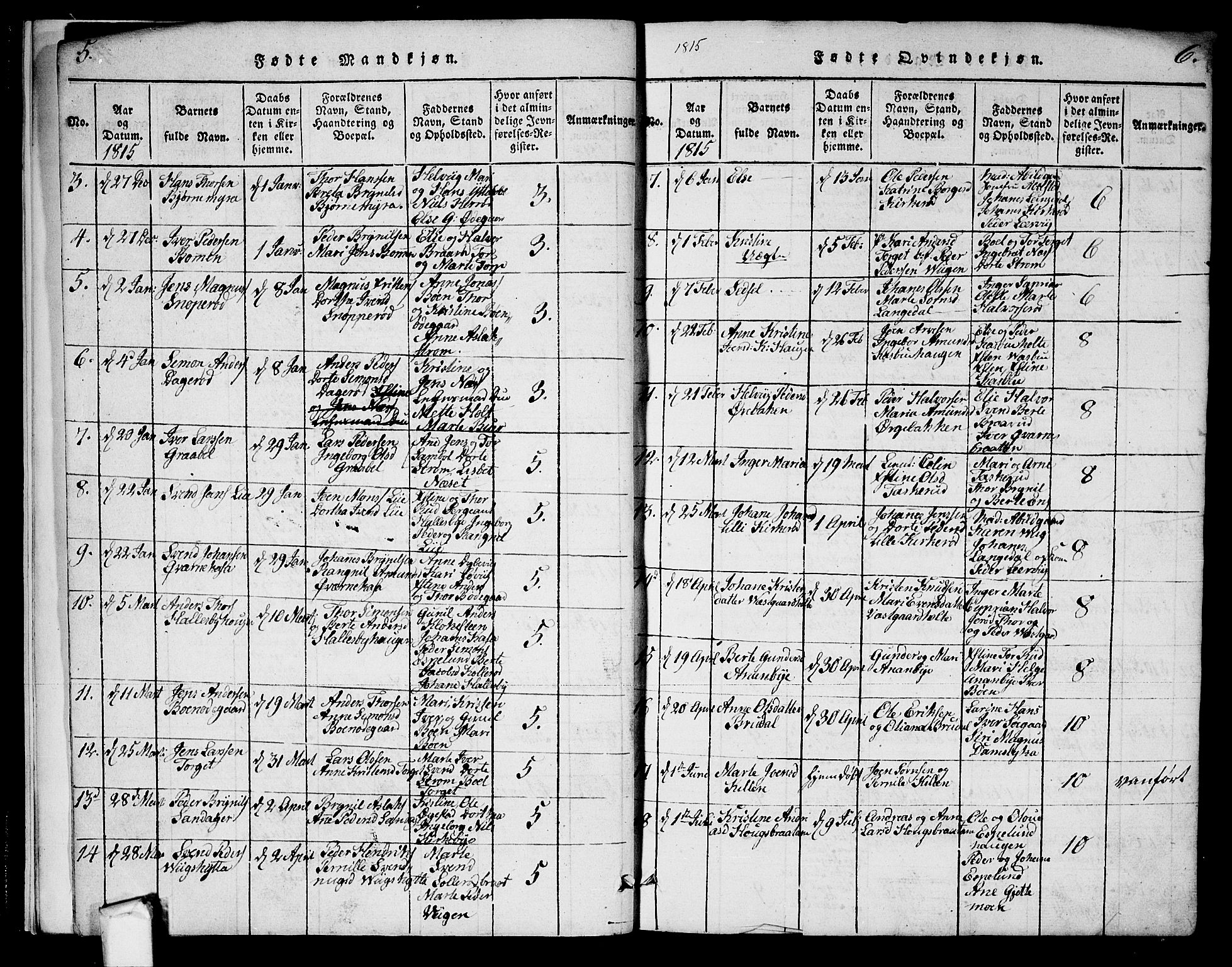 Aremark prestekontor Kirkebøker, AV/SAO-A-10899/G/Ga/L0001: Parish register (copy) no.  I 1, 1814-1834, p. 5-6