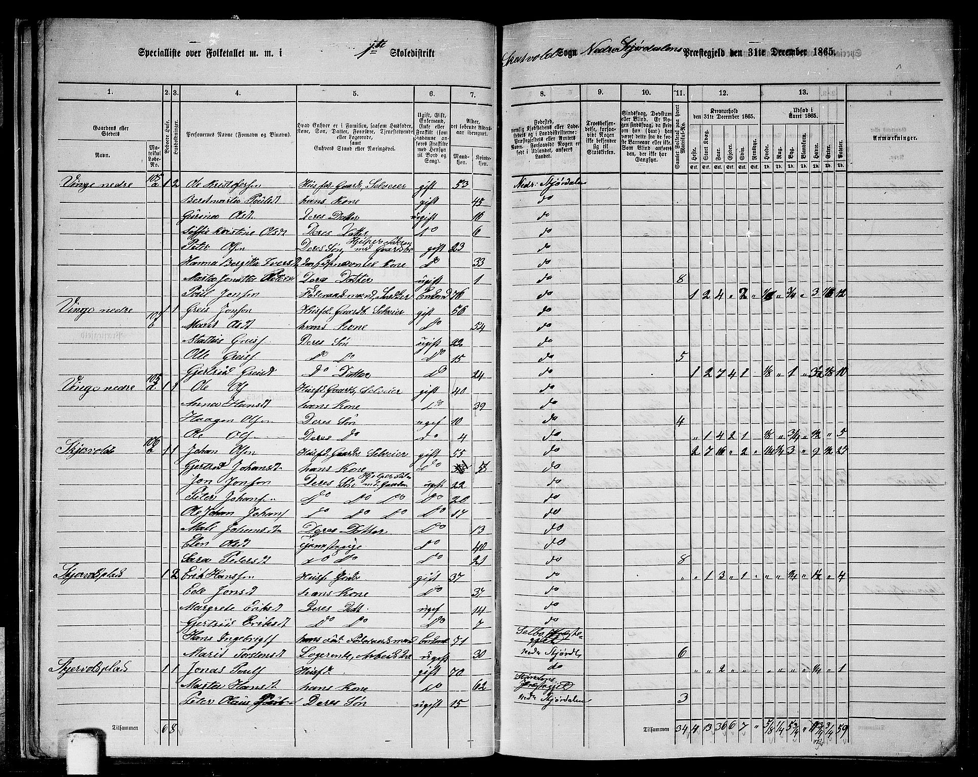 RA, 1865 census for Nedre Stjørdal, 1865, p. 28