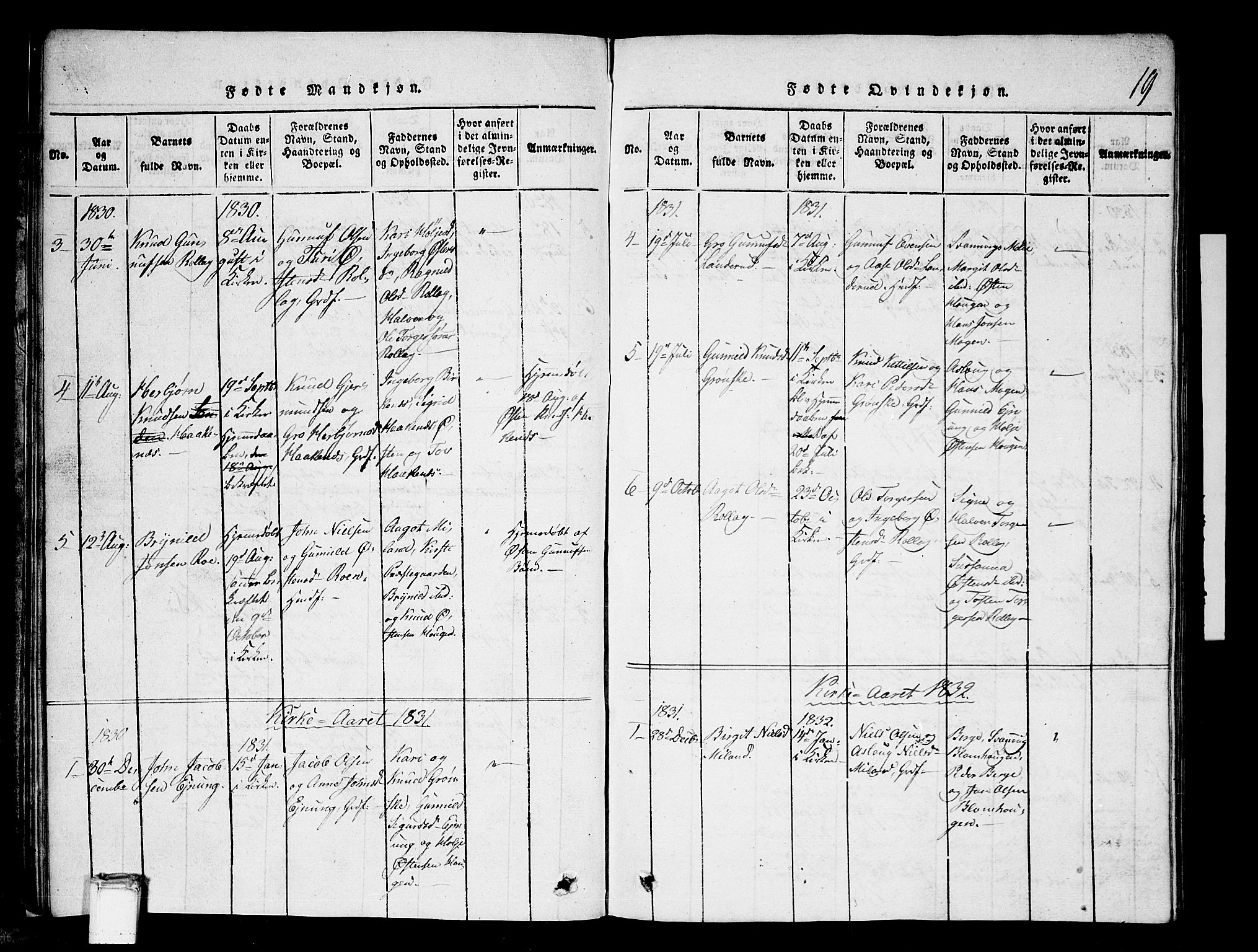 Tinn kirkebøker, SAKO/A-308/G/Gb/L0001: Parish register (copy) no. II 1 /1, 1815-1850, p. 19