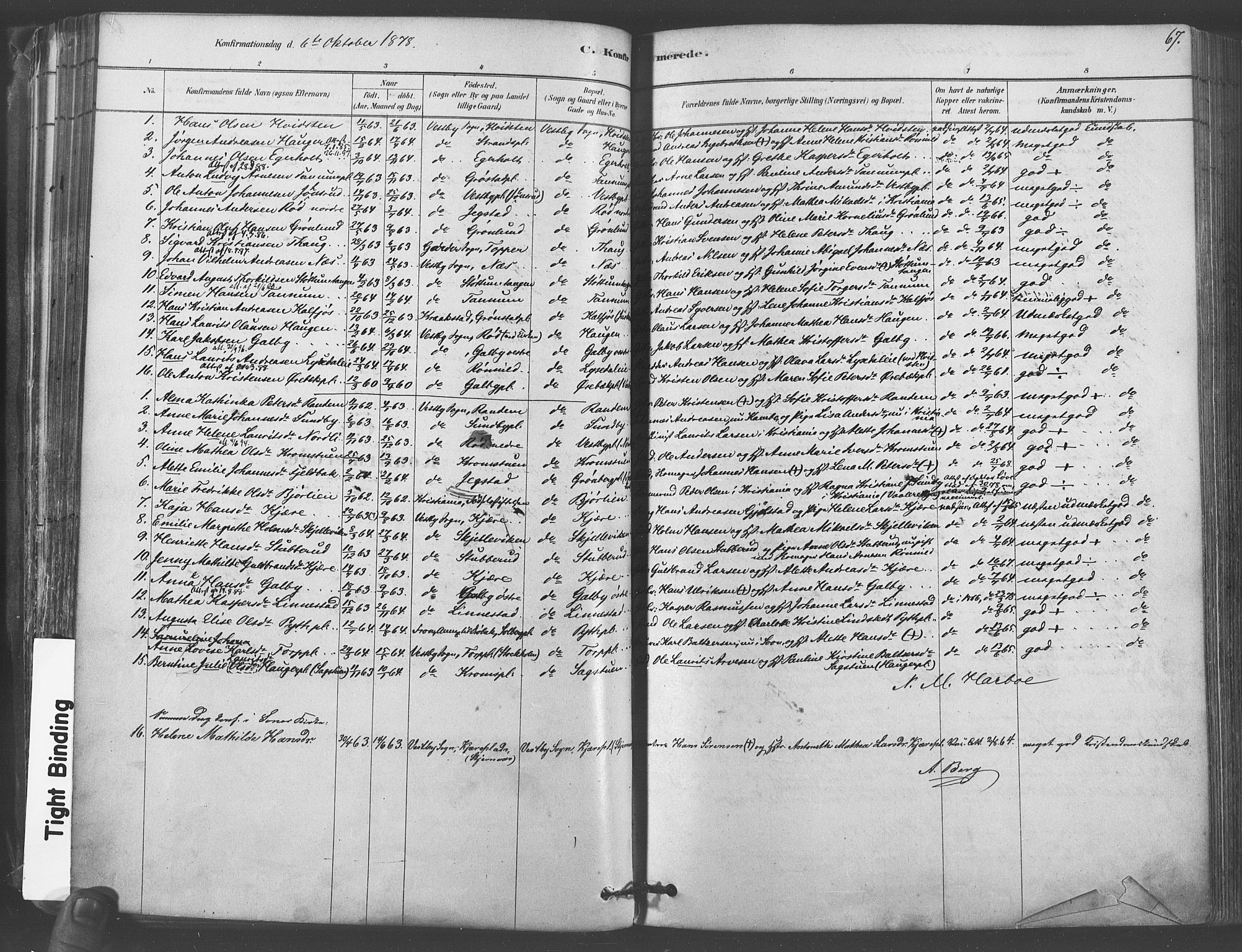 Vestby prestekontor Kirkebøker, AV/SAO-A-10893/F/Fa/L0009: Parish register (official) no. I 9, 1878-1900, p. 67