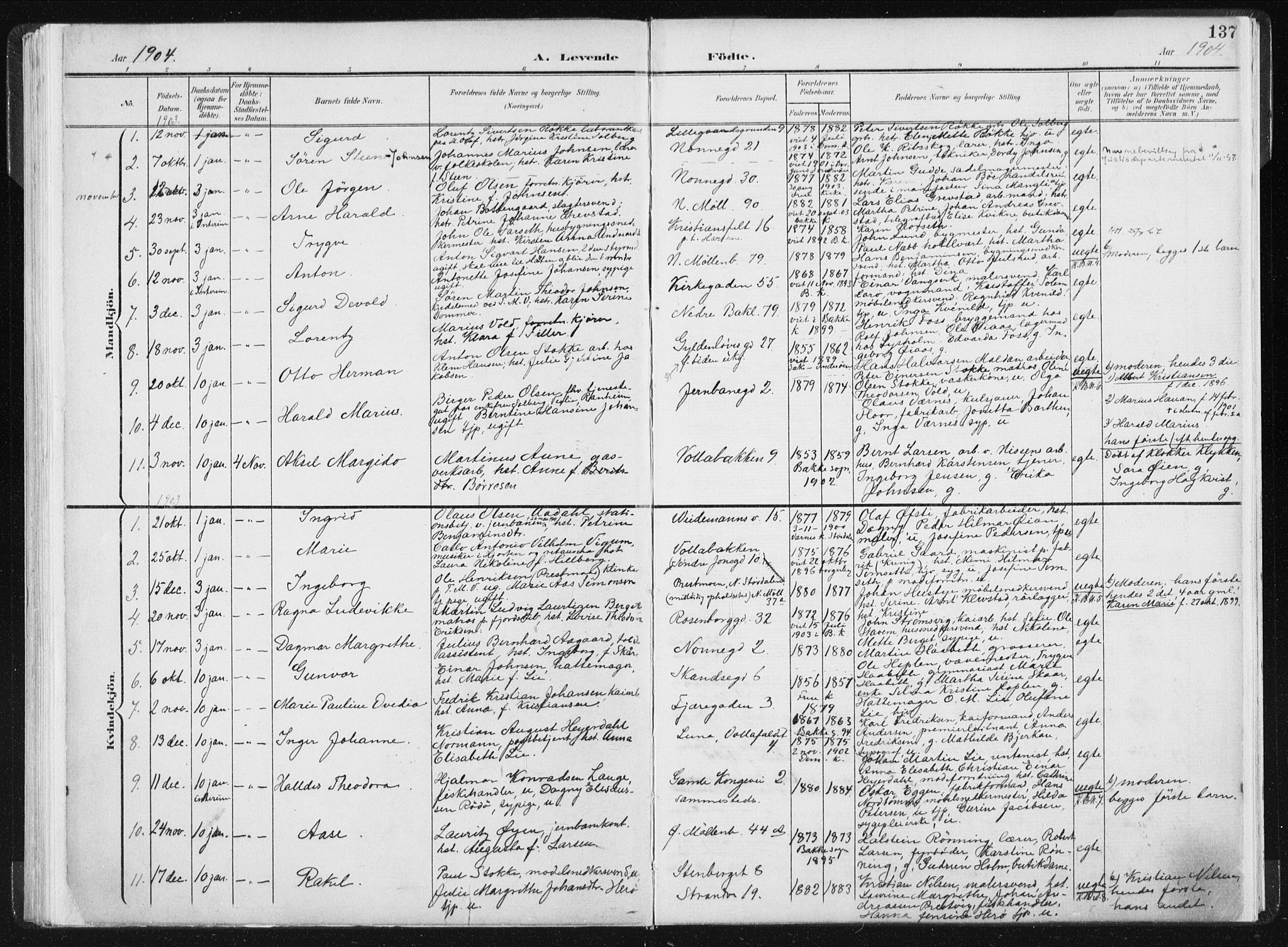 Ministerialprotokoller, klokkerbøker og fødselsregistre - Sør-Trøndelag, SAT/A-1456/604/L0199: Parish register (official) no. 604A20I, 1901-1906, p. 137