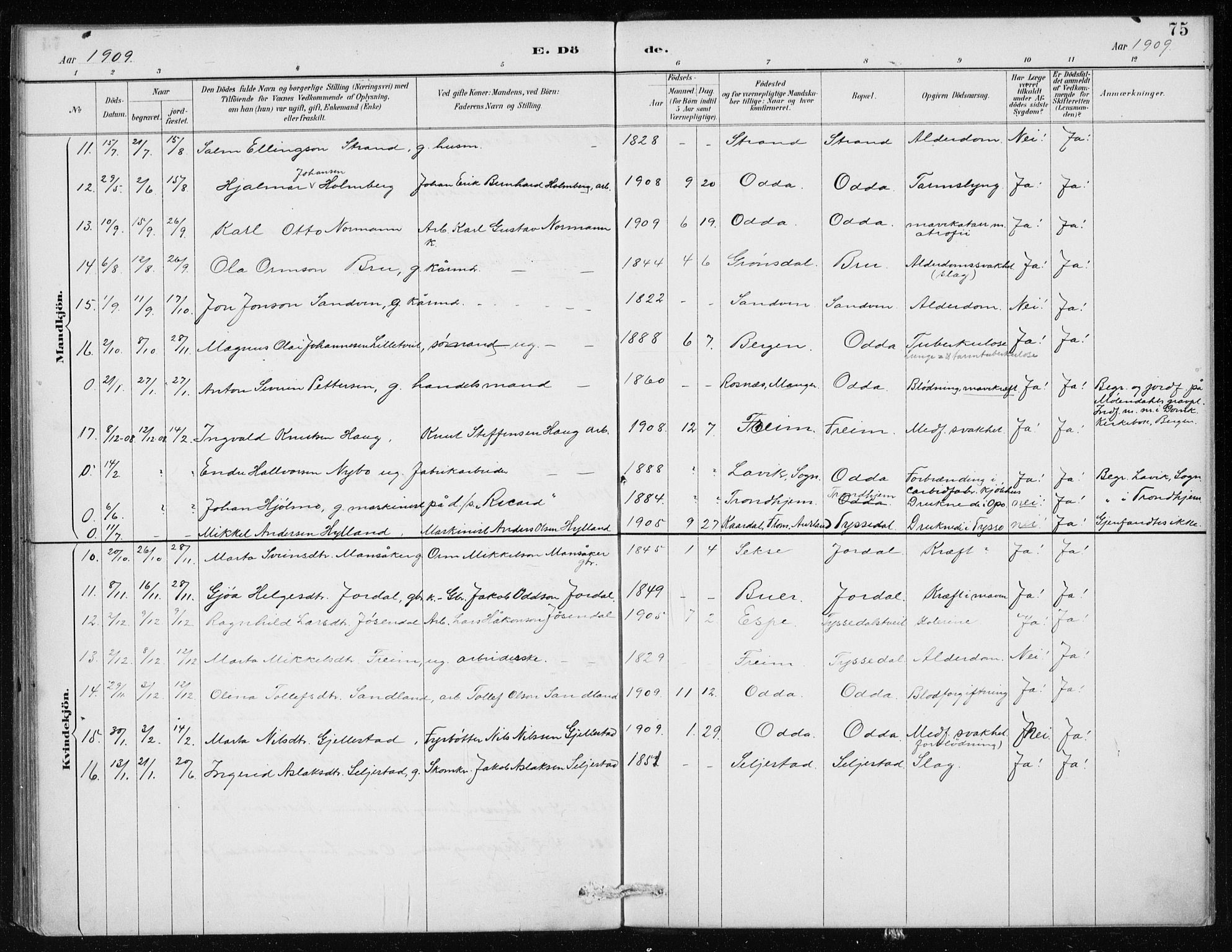 Odda Sokneprestembete, SAB/A-77201/H/Haa: Parish register (official) no. D 1, 1887-1914, p. 75