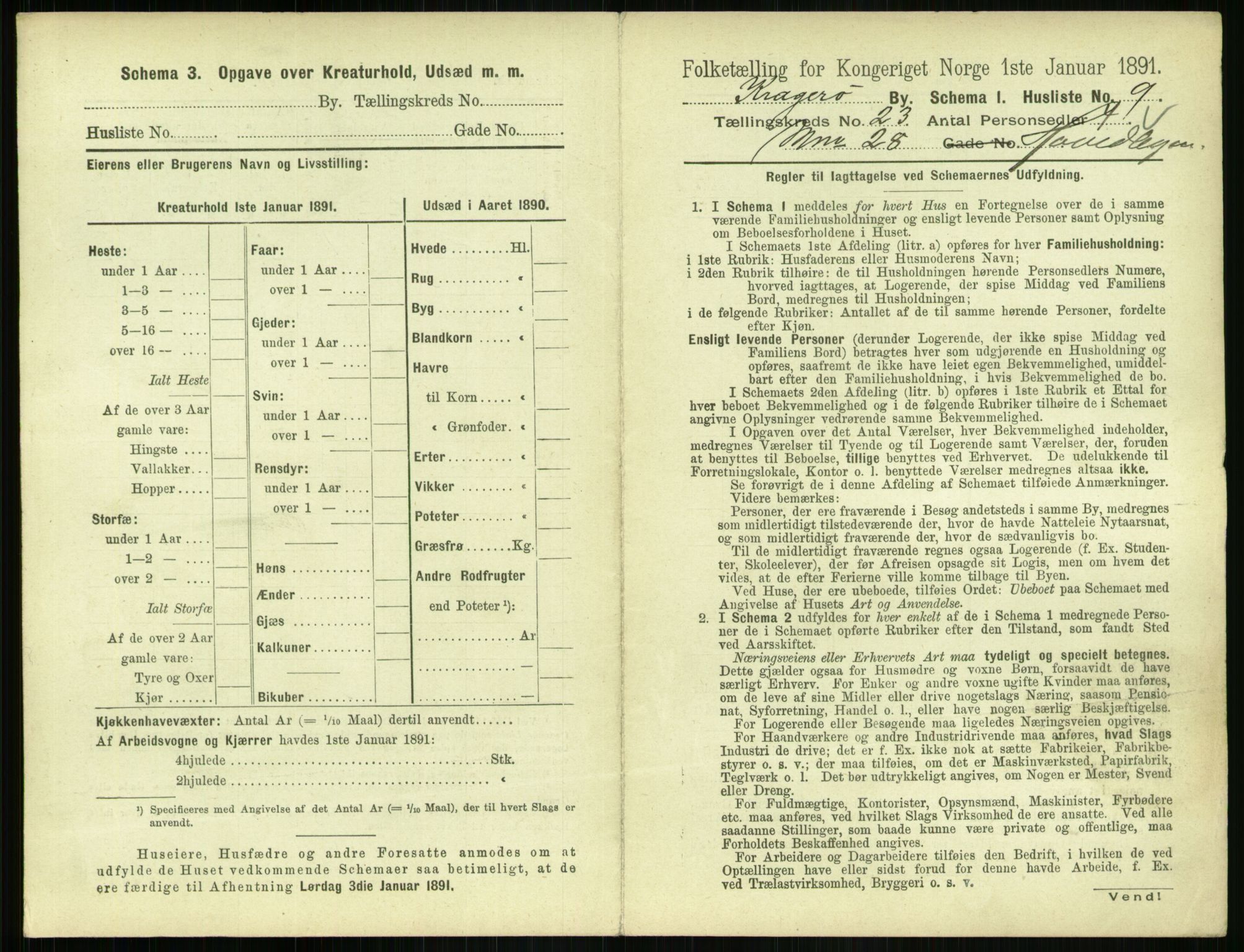 RA, 1891 census for 0801 Kragerø, 1891, p. 900