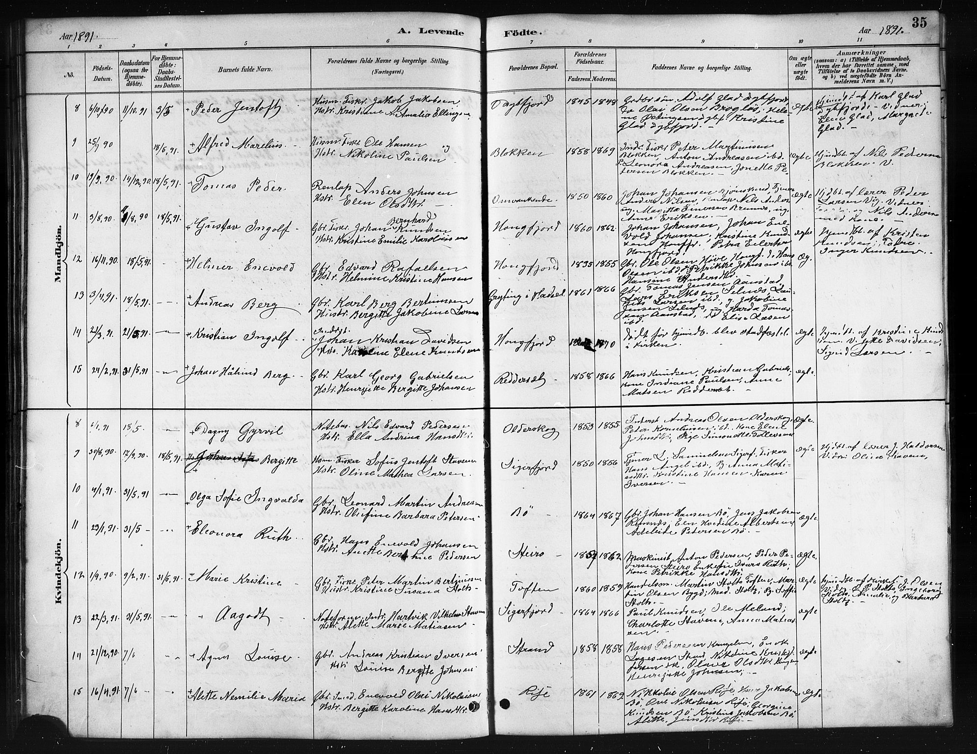 Ministerialprotokoller, klokkerbøker og fødselsregistre - Nordland, AV/SAT-A-1459/895/L1382: Parish register (copy) no. 895C04, 1885-1896, p. 35