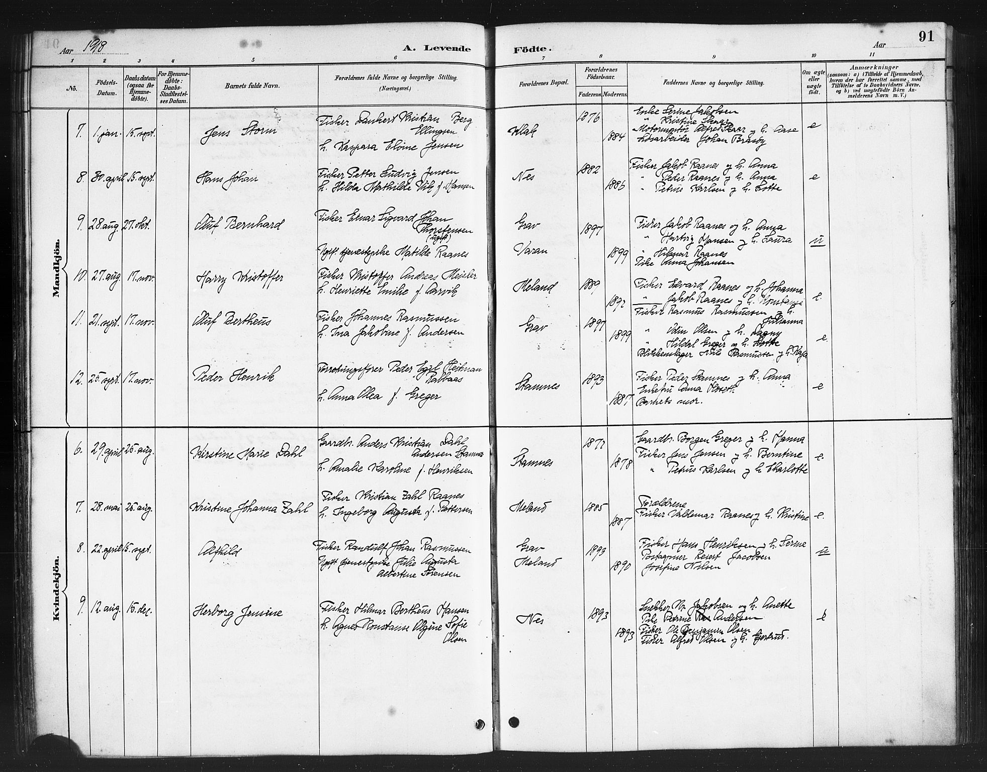 Ministerialprotokoller, klokkerbøker og fødselsregistre - Nordland, AV/SAT-A-1459/808/L0131: Parish register (copy) no. 808C02, 1879-1919, p. 91