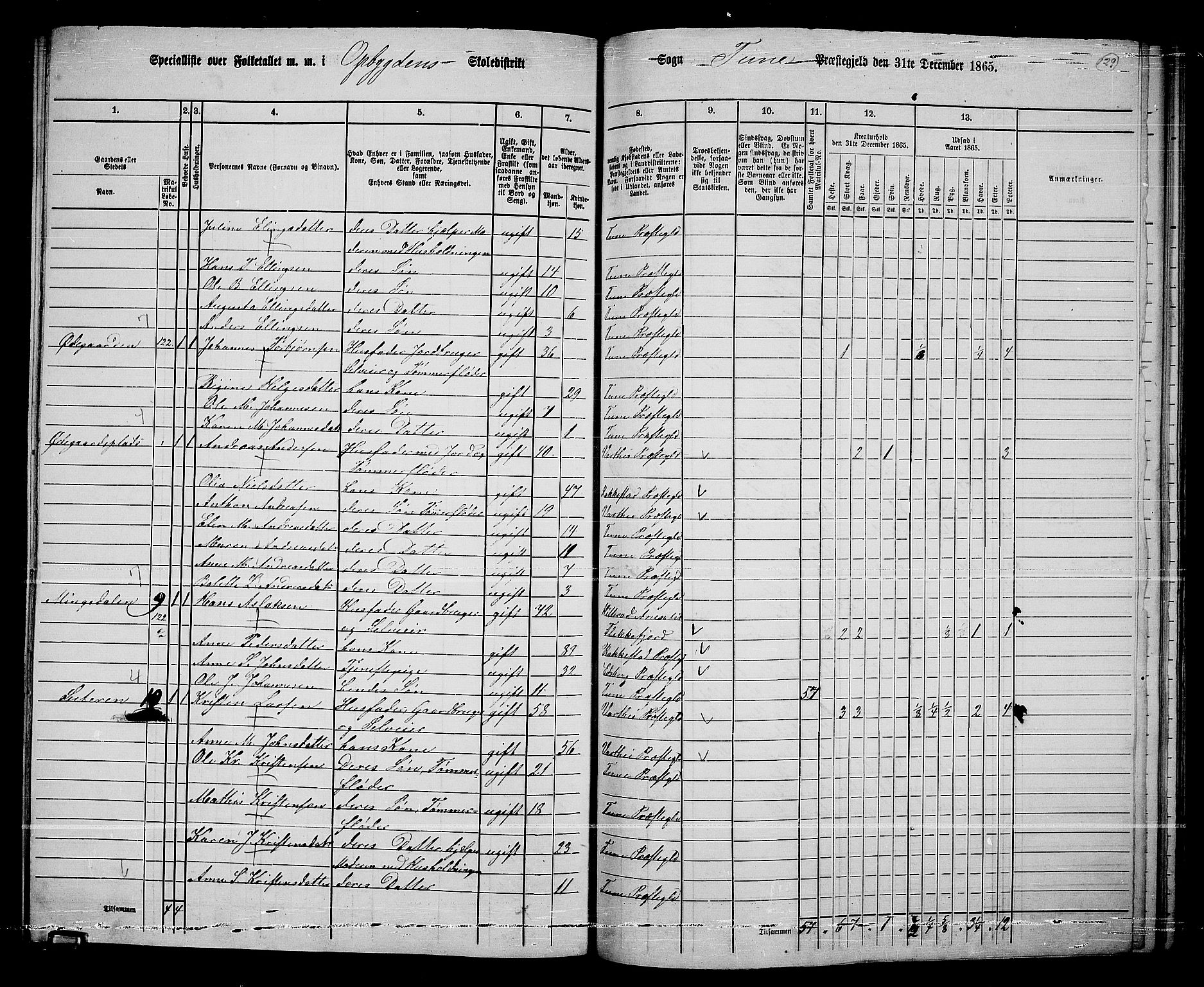 RA, 1865 census for Tune, 1865, p. 211