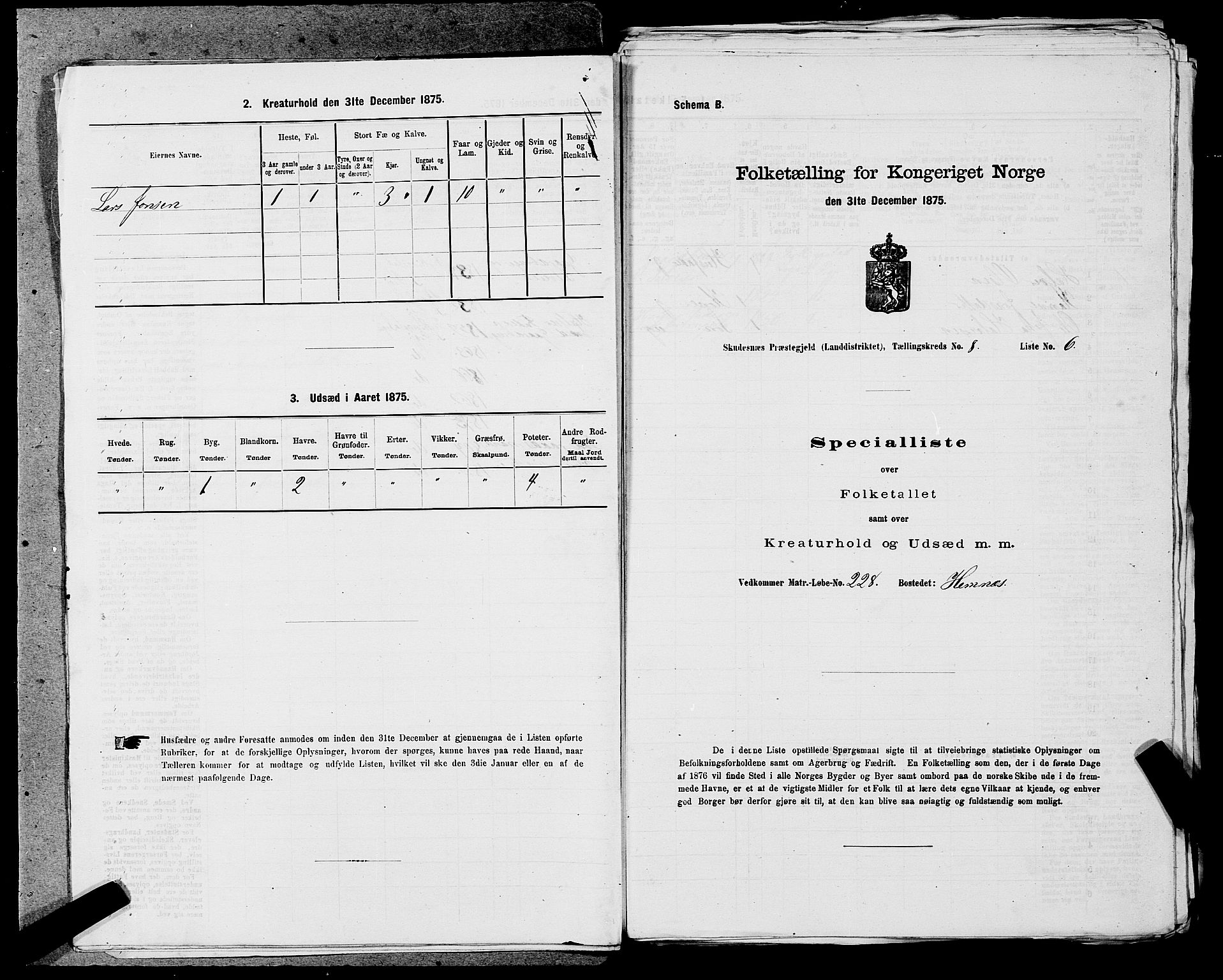 SAST, 1875 census for 1150L Skudenes/Falnes, Åkra og Ferkingstad, 1875, p. 1061