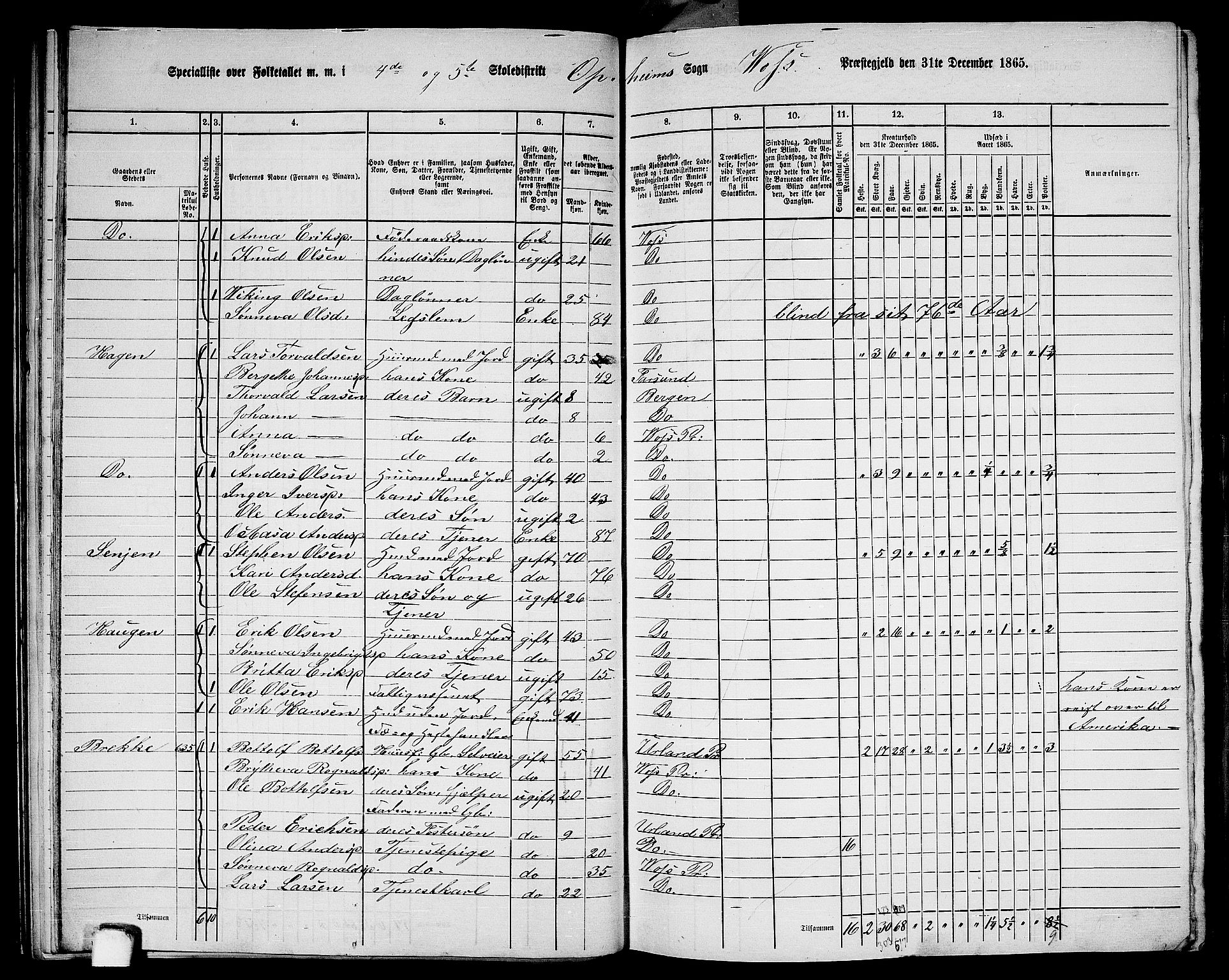 RA, 1865 census for Voss, 1865, p. 259