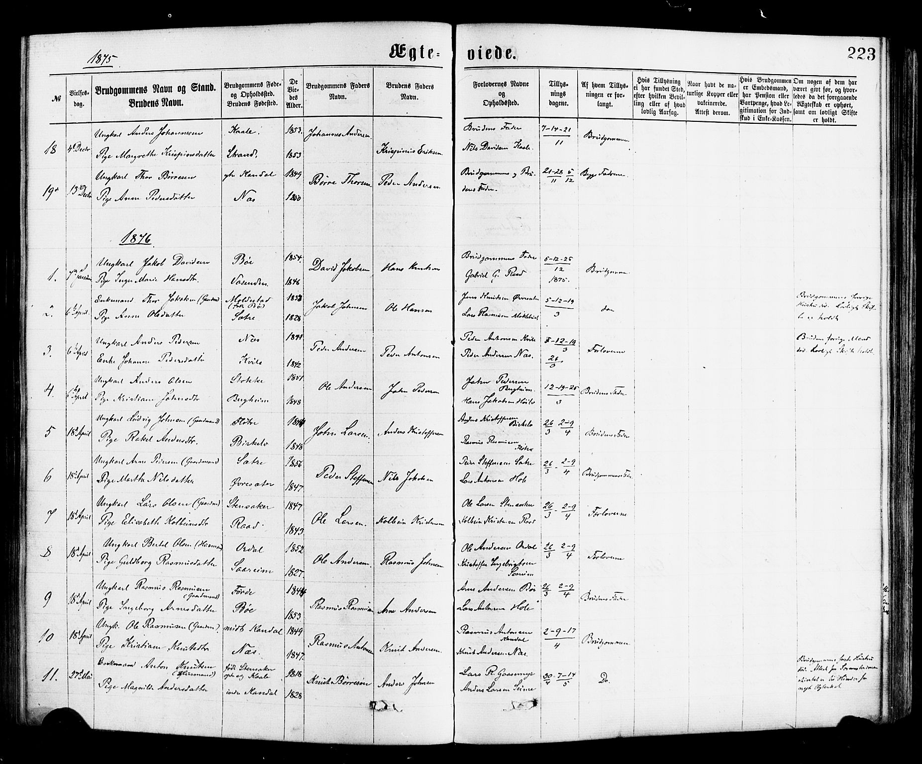 Gloppen sokneprestembete, SAB/A-80101/H/Haa/Haac/L0001: Parish register (official) no. C 1, 1871-1886, p. 223