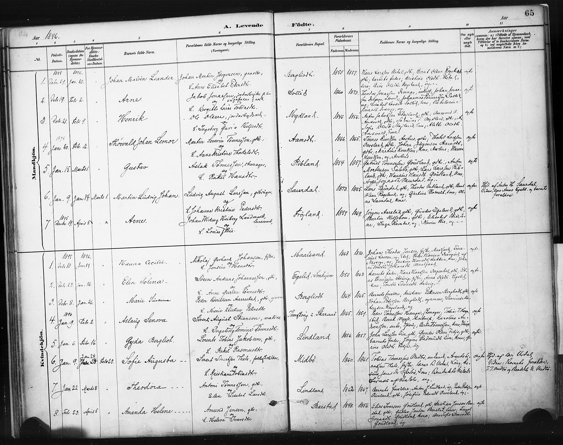 Sokndal sokneprestkontor, SAST/A-101808: Parish register (official) no. A 11.1, 1887-1905, p. 65