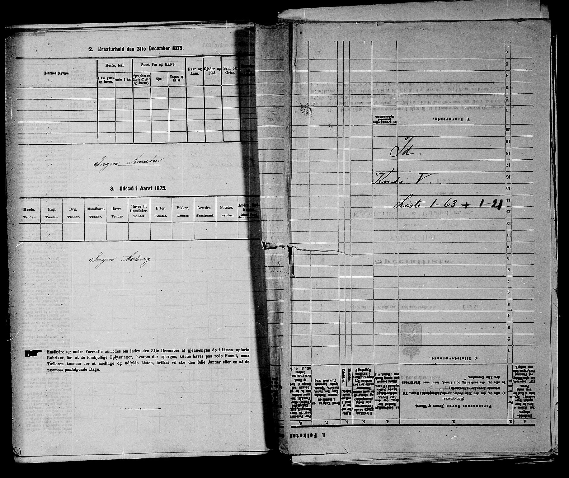 RA, 1875 census for 0117P Idd, 1875, p. 918