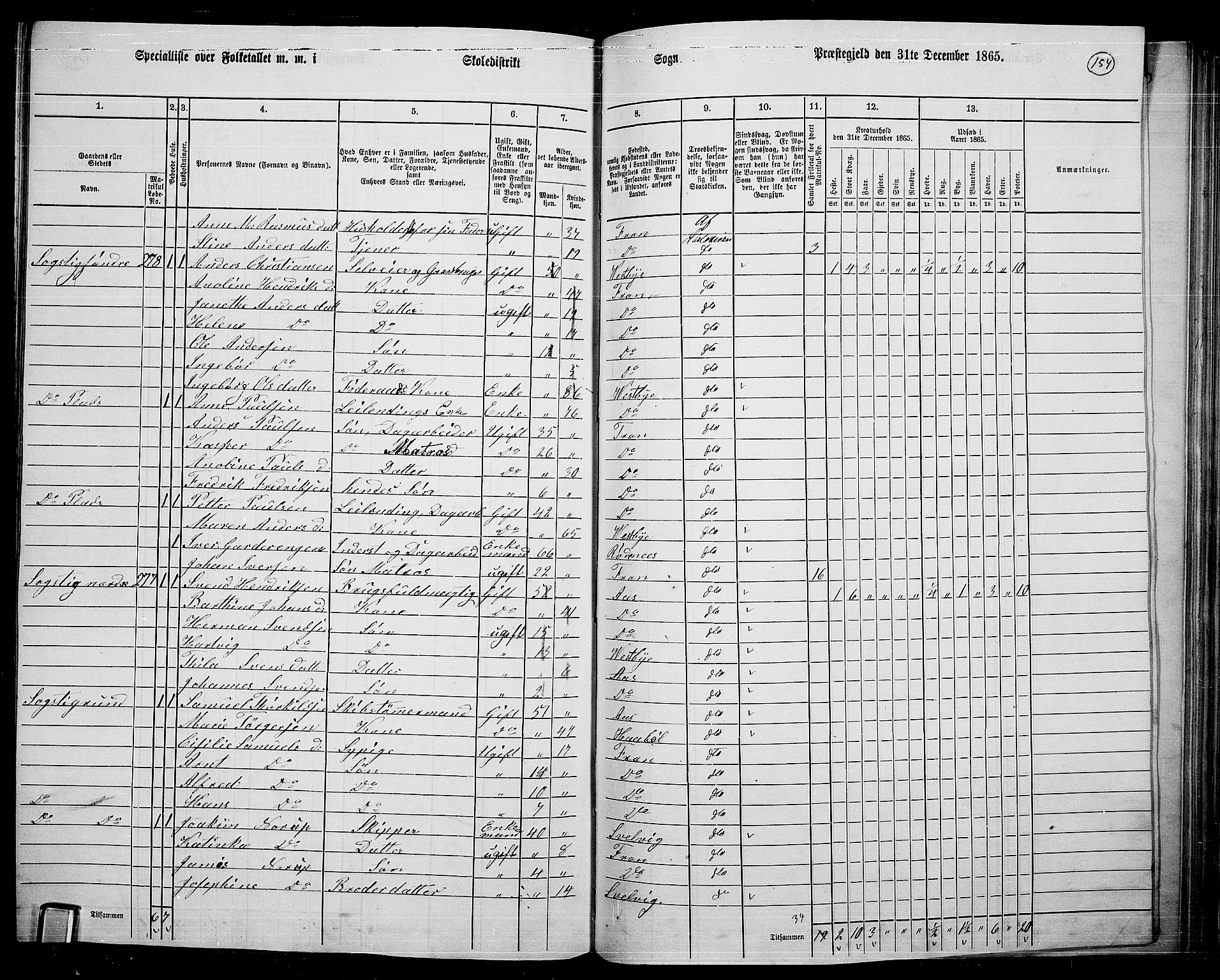 RA, 1865 census for Drøbak/Frogn, 1865, p. 13