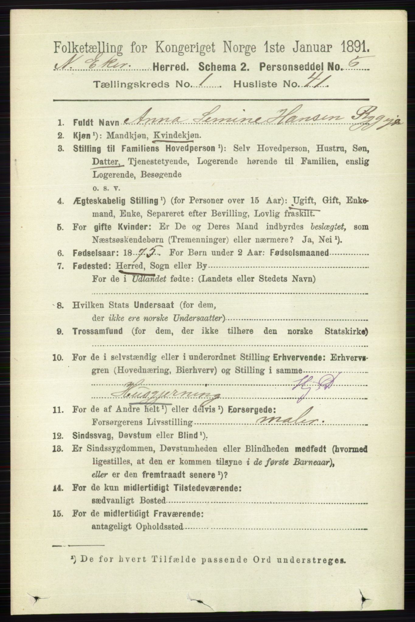 RA, 1891 census for 0625 Nedre Eiker, 1891, p. 306