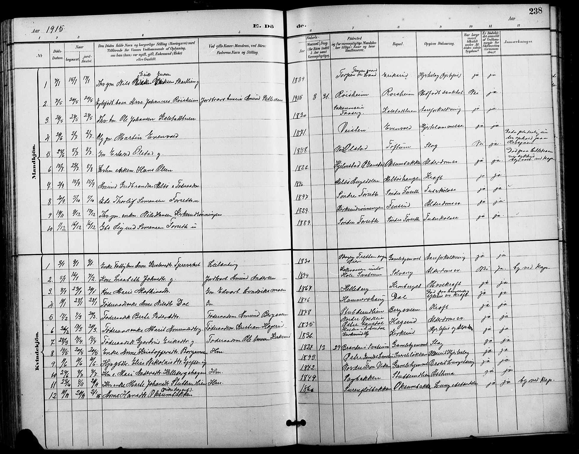 Vestre Gausdal prestekontor, SAH/PREST-094/H/Ha/Hab/L0003: Parish register (copy) no. 3, 1896-1925, p. 238