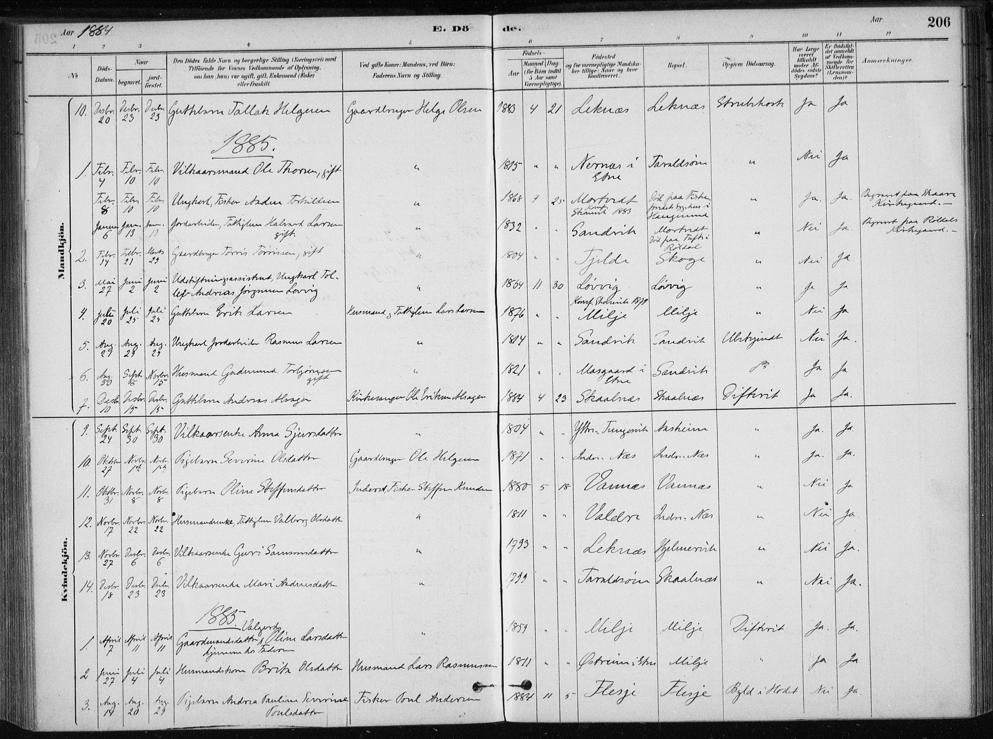 Skånevik sokneprestembete, AV/SAB-A-77801/H/Haa: Parish register (official) no. B 1, 1879-1914, p. 206