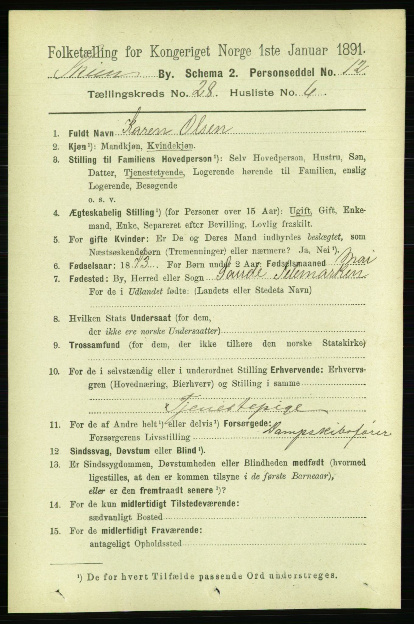 RA, 1891 census for 0806 Skien, 1891, p. 6599