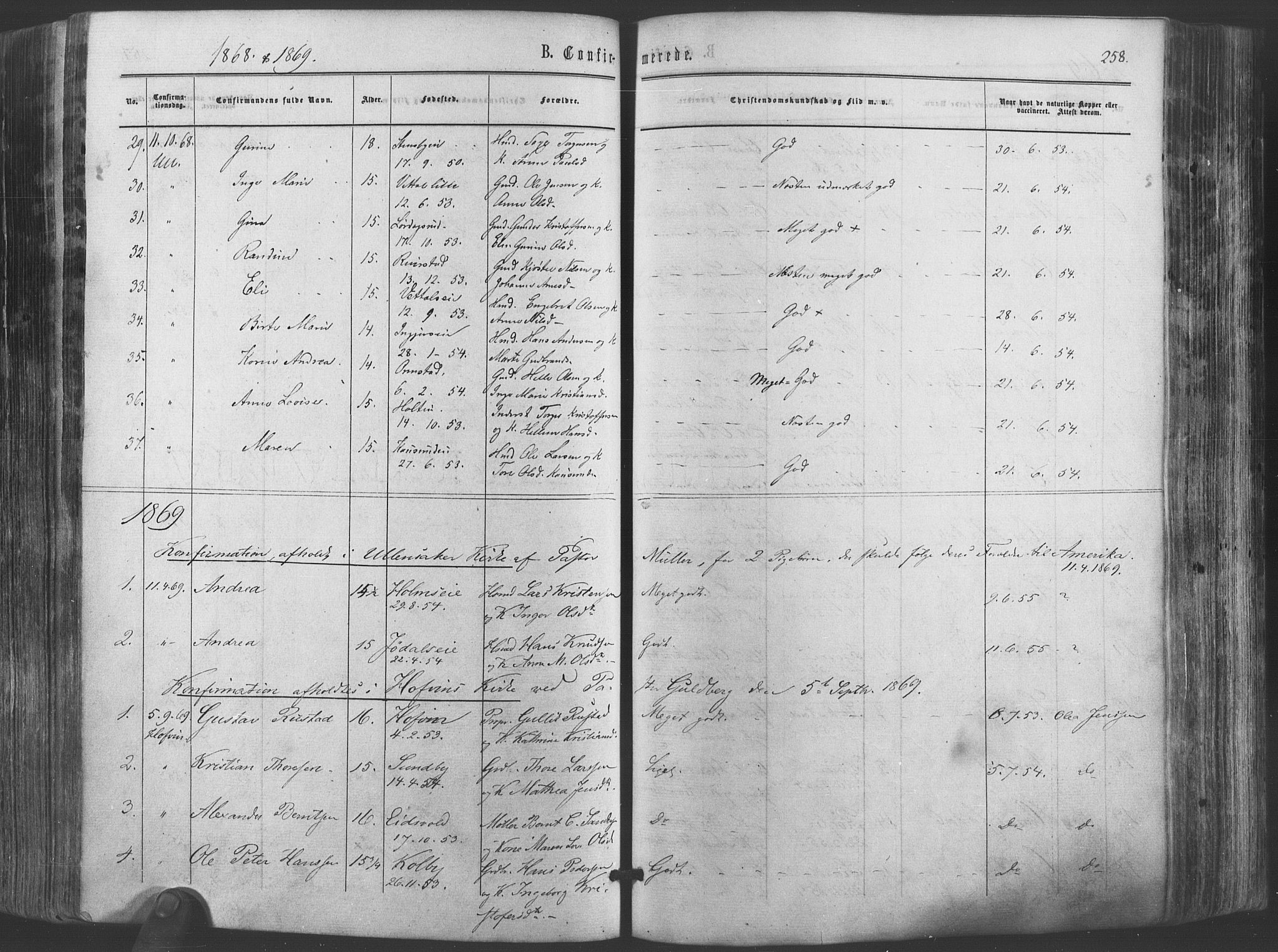 Ullensaker prestekontor Kirkebøker, AV/SAO-A-10236a/F/Fa/L0016: Parish register (official) no. I 16, 1863-1875, p. 258