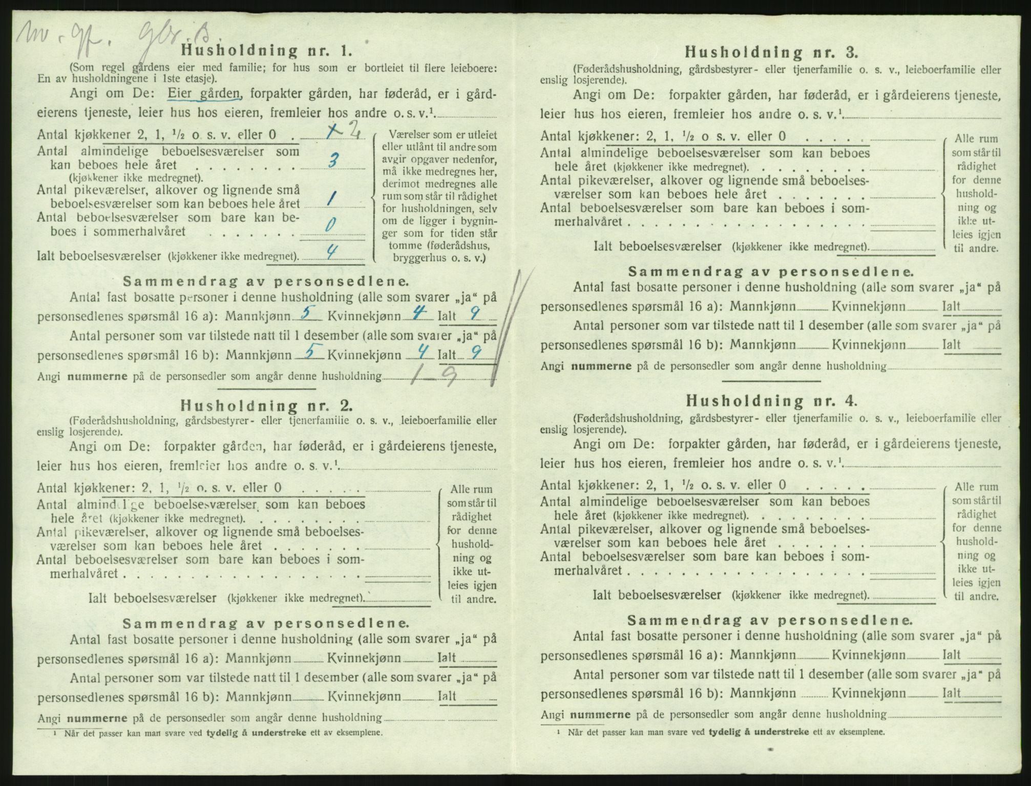 SAKO, 1920 census for Hedrum, 1920, p. 1204