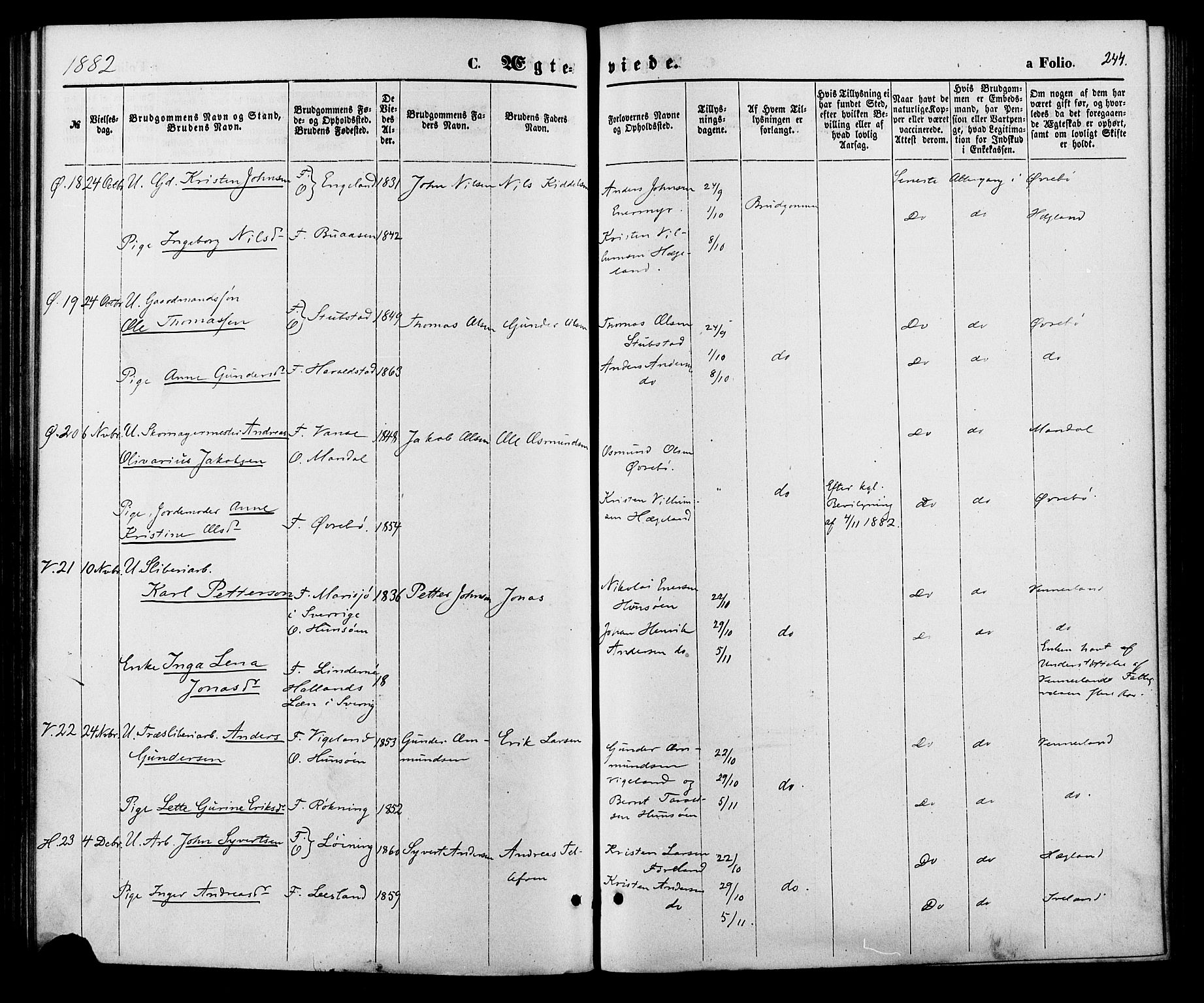 Vennesla sokneprestkontor, AV/SAK-1111-0045/Fa/Fac/L0008: Parish register (official) no. A 8, 1874-1883, p. 244