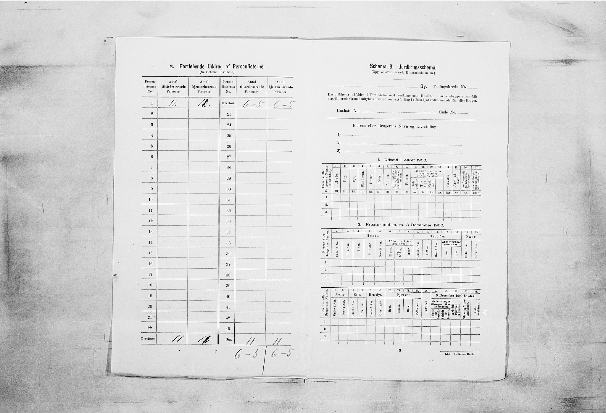 SAKO, 1900 census for Kragerø, 1900, p. 3998