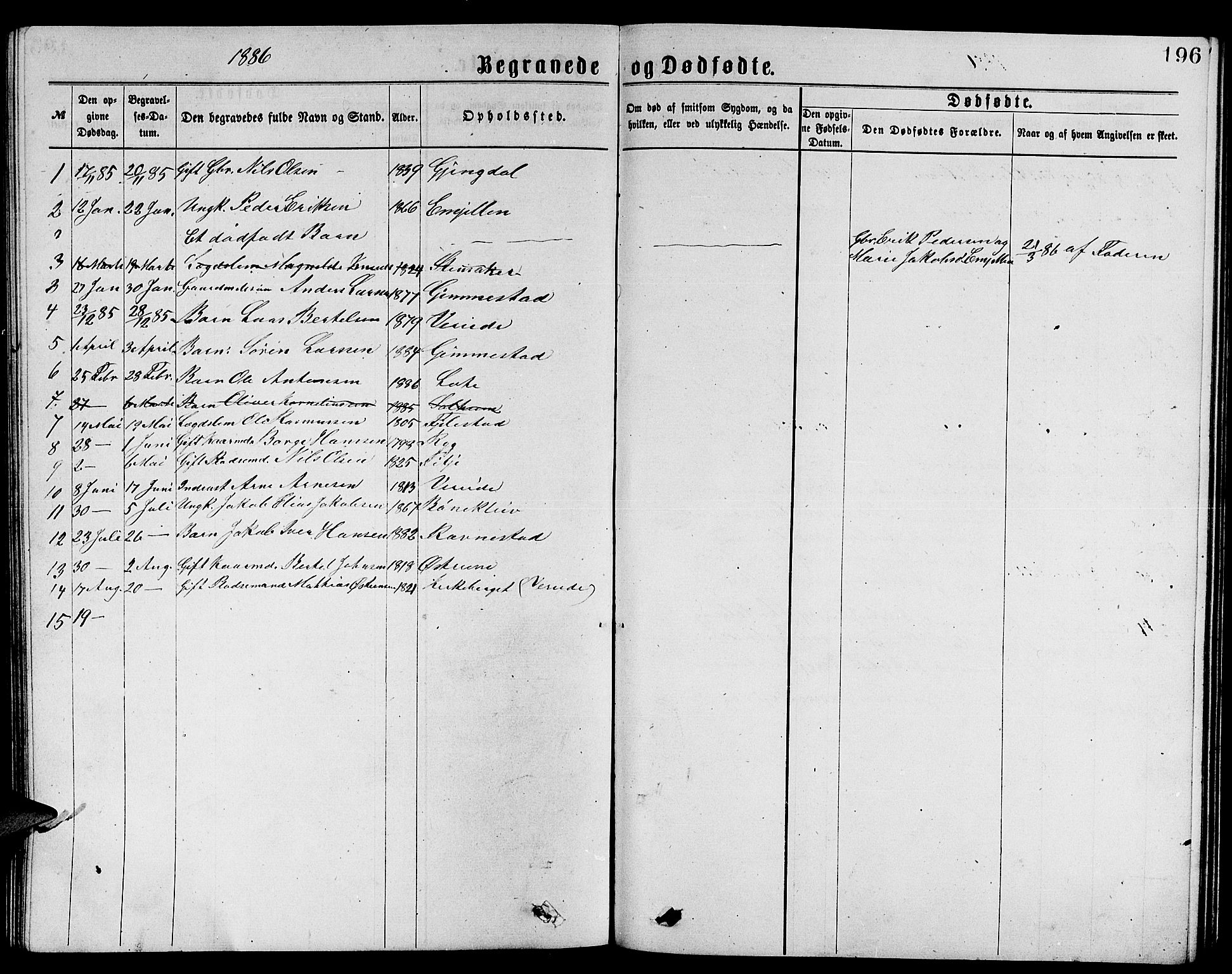 Gloppen sokneprestembete, SAB/A-80101/H/Hab/Habb/L0001: Parish register (copy) no. B 1, 1872-1888, p. 196