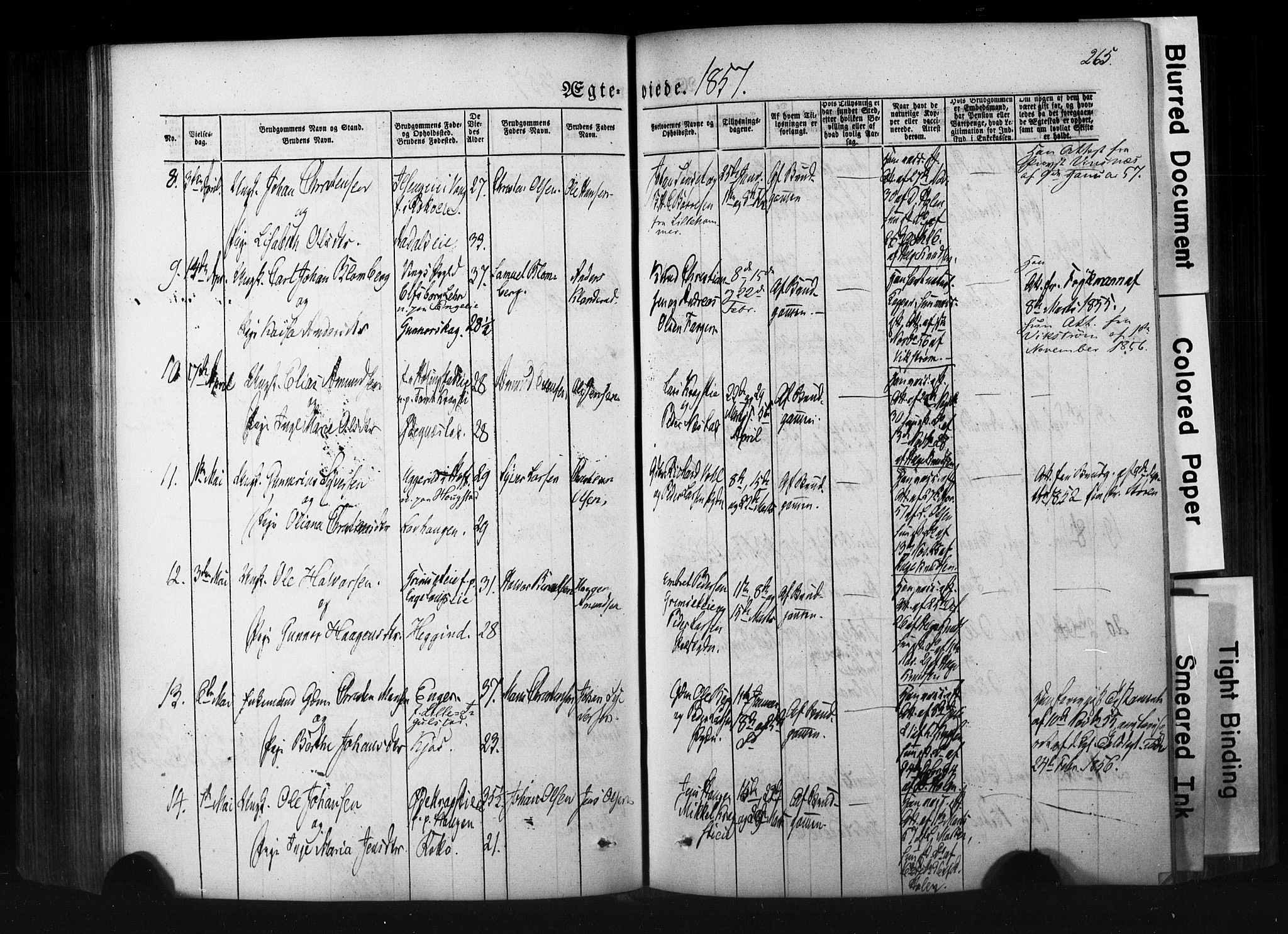 Løten prestekontor, AV/SAH-PREST-022/K/Ka/L0007: Parish register (official) no. 7, 1850-1859, p. 265