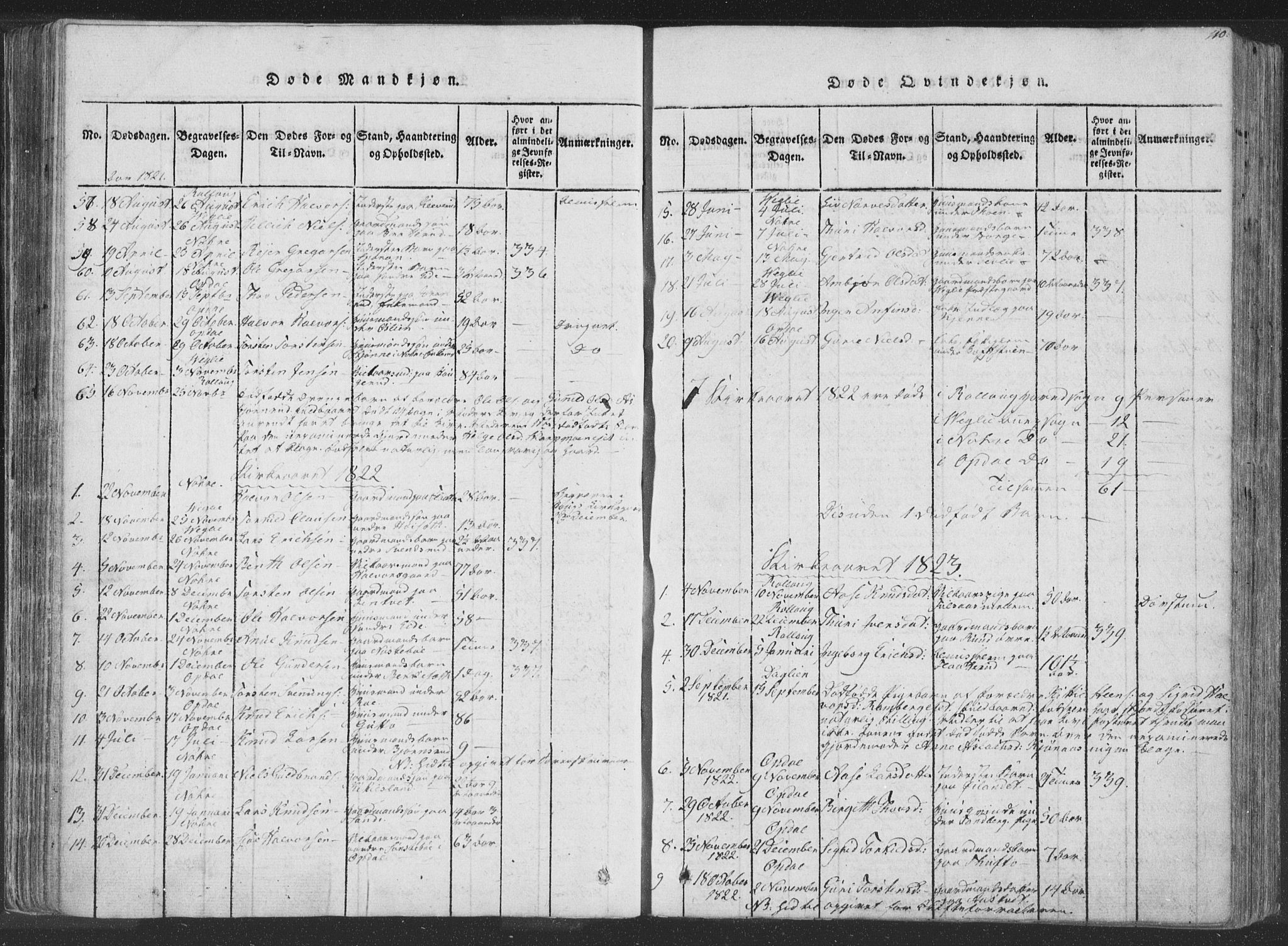 Rollag kirkebøker, SAKO/A-240/F/Fa/L0006: Parish register (official) no. I 6, 1814-1828, p. 110