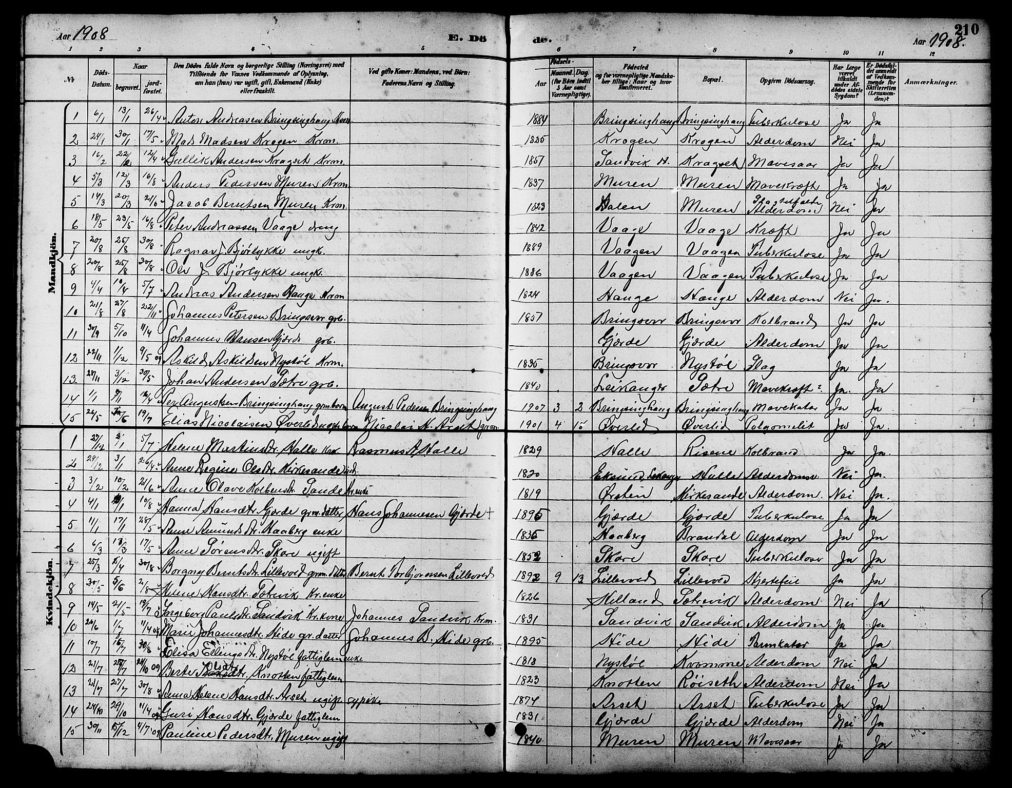 Ministerialprotokoller, klokkerbøker og fødselsregistre - Møre og Romsdal, AV/SAT-A-1454/503/L0049: Parish register (copy) no. 503C04, 1894-1915, p. 210