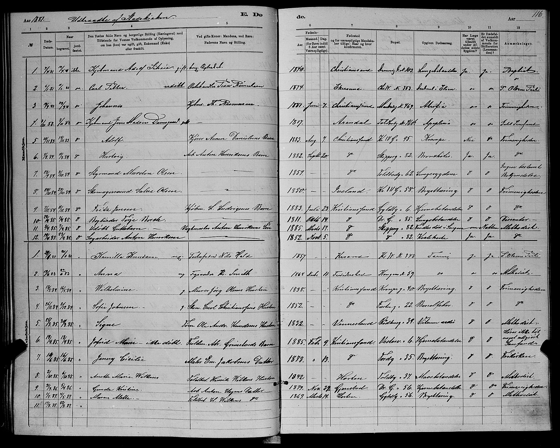 Kristiansand domprosti, SAK/1112-0006/F/Fb/L0016: Parish register (copy) no. B 16, 1881-1893, p. 116