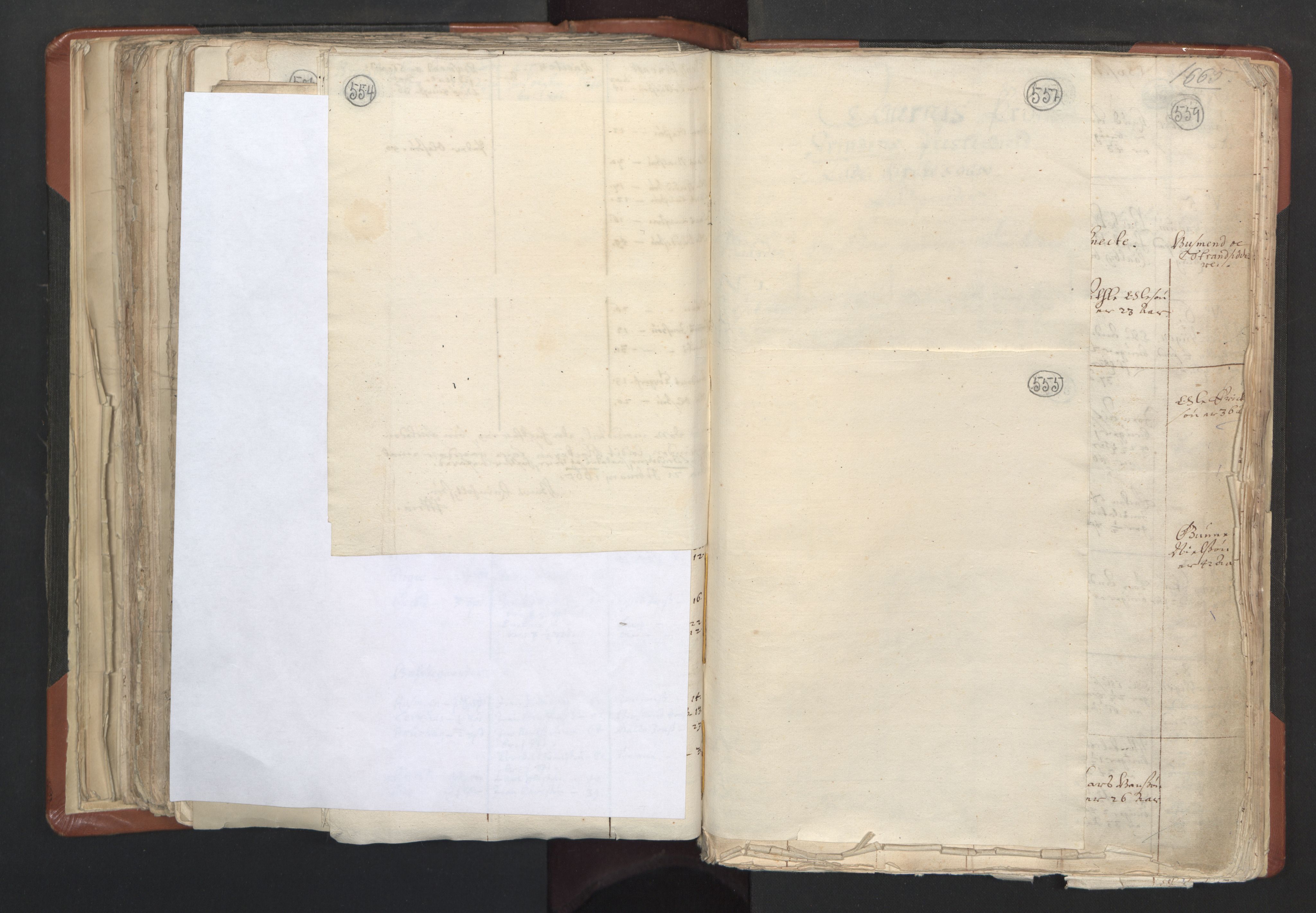 RA, Vicar's Census 1664-1666, no. 31: Dalane deanery, 1664-1666, p. 554-555