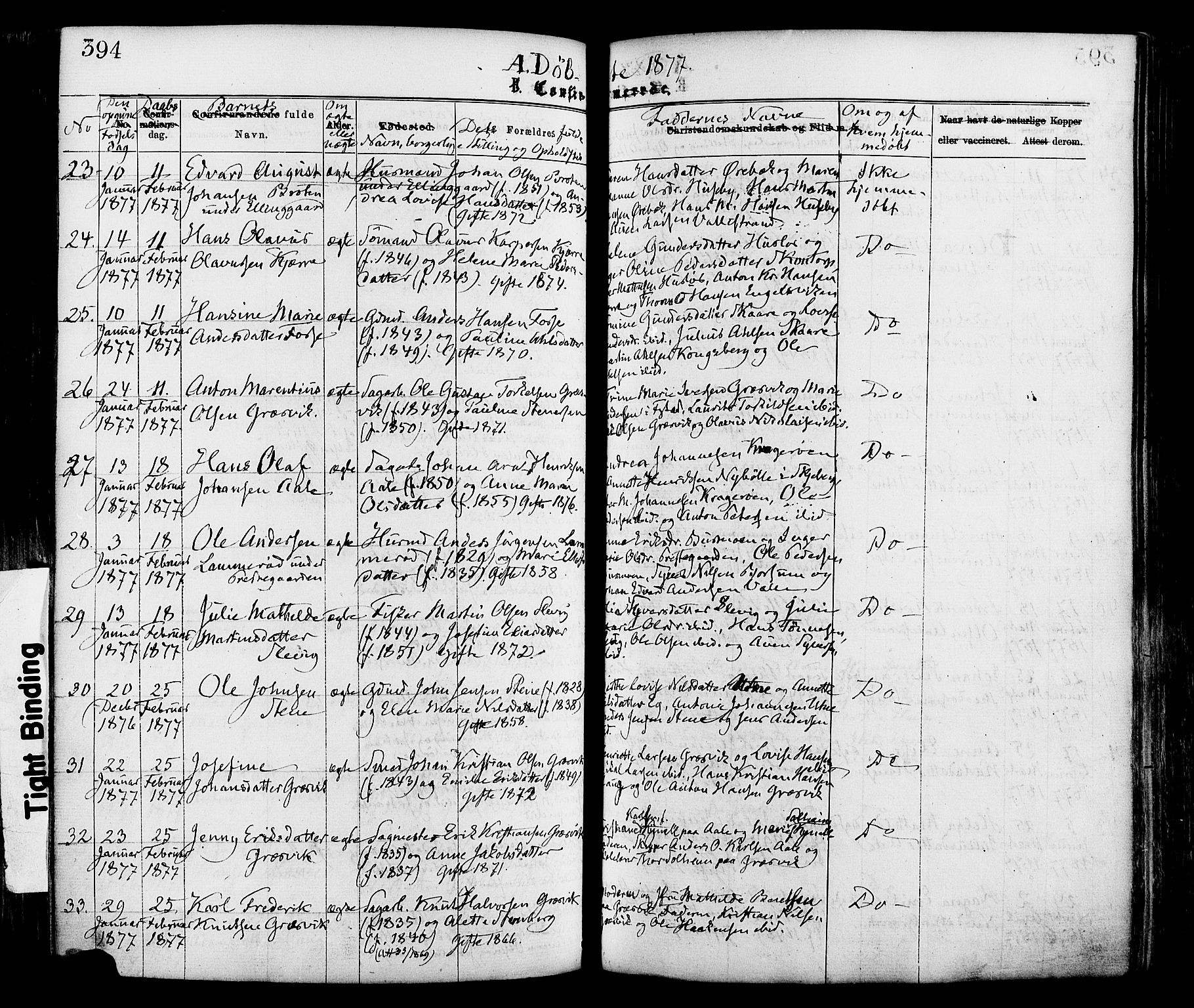 Onsøy prestekontor Kirkebøker, AV/SAO-A-10914/F/Fa/L0004: Parish register (official) no. I 4, 1861-1877, p. 394