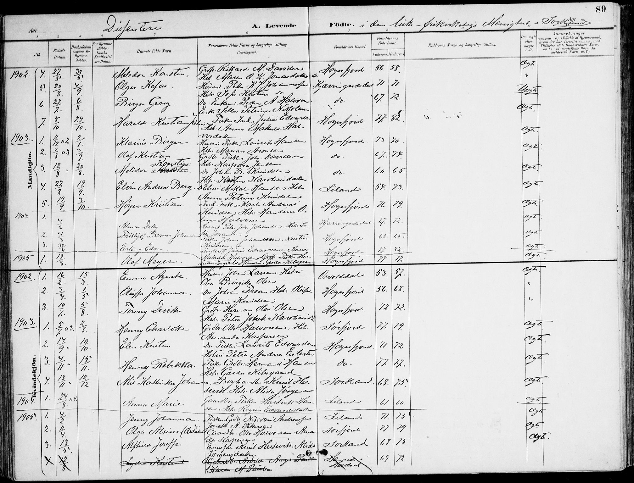 Ministerialprotokoller, klokkerbøker og fødselsregistre - Nordland, AV/SAT-A-1459/895/L1372: Parish register (official) no. 895A07, 1894-1914, p. 89