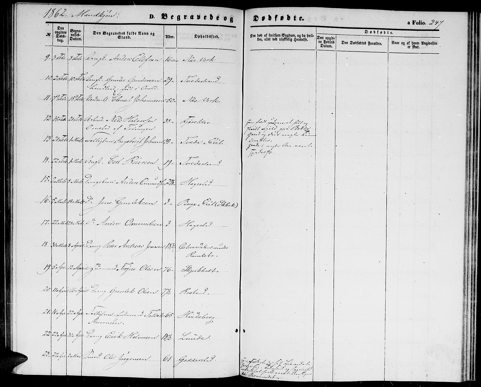 Holt sokneprestkontor, AV/SAK-1111-0021/F/Fb/L0008: Parish register (copy) no. B 8, 1858-1871, p. 247