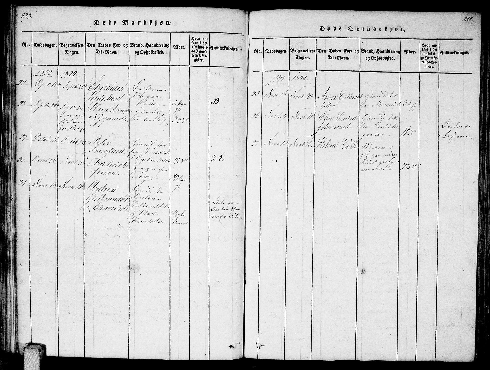 Enebakk prestekontor Kirkebøker, AV/SAO-A-10171c/F/Fa/L0006: Parish register (official) no. I 6, 1815-1832, p. 223-224