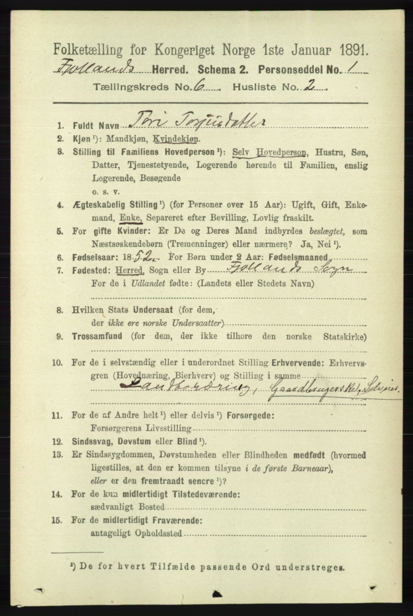 RA, 1891 census for 1036 Fjotland, 1891, p. 868