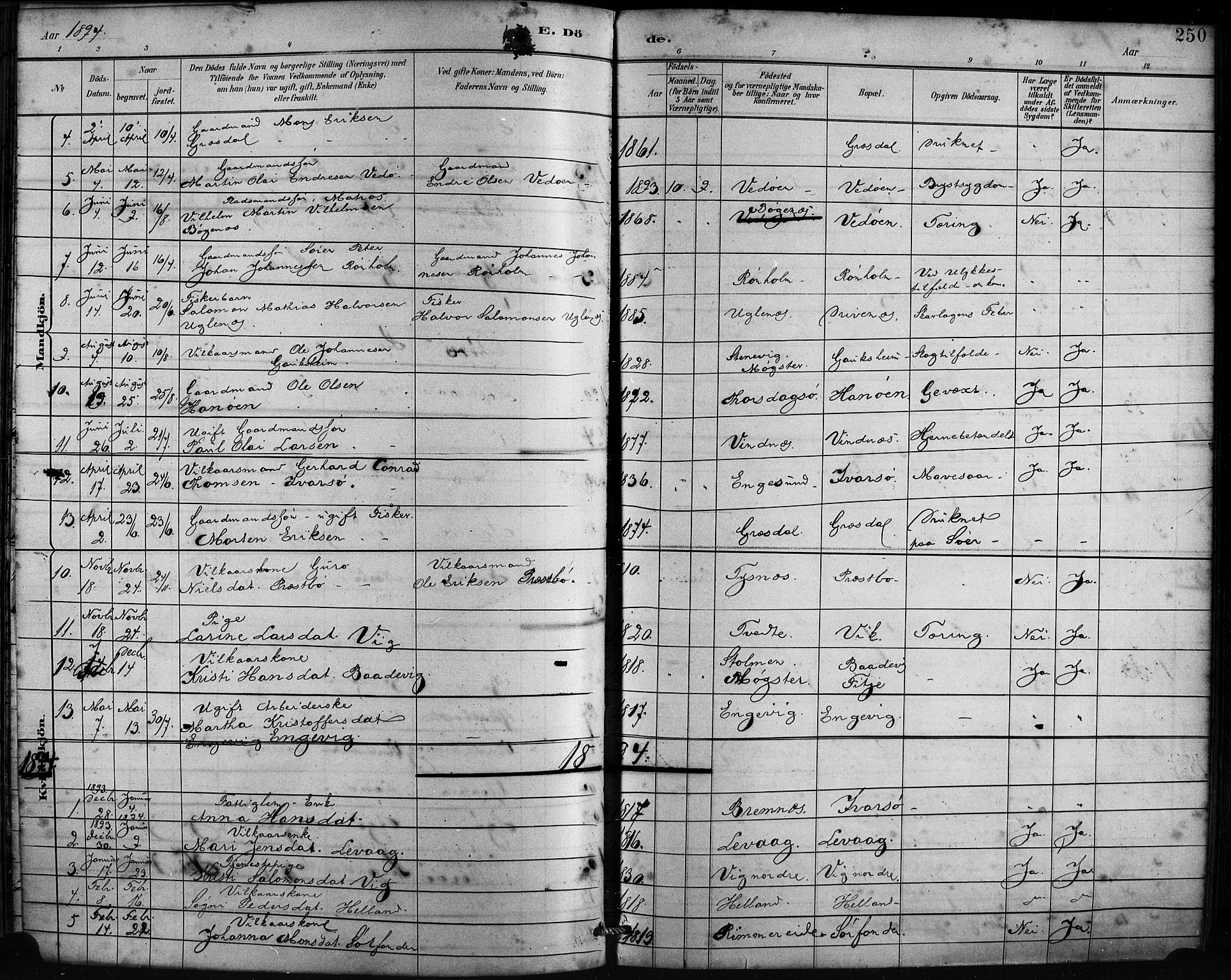 Fitjar sokneprestembete, AV/SAB-A-99926: Parish register (official) no. A 2, 1882-1899, p. 250