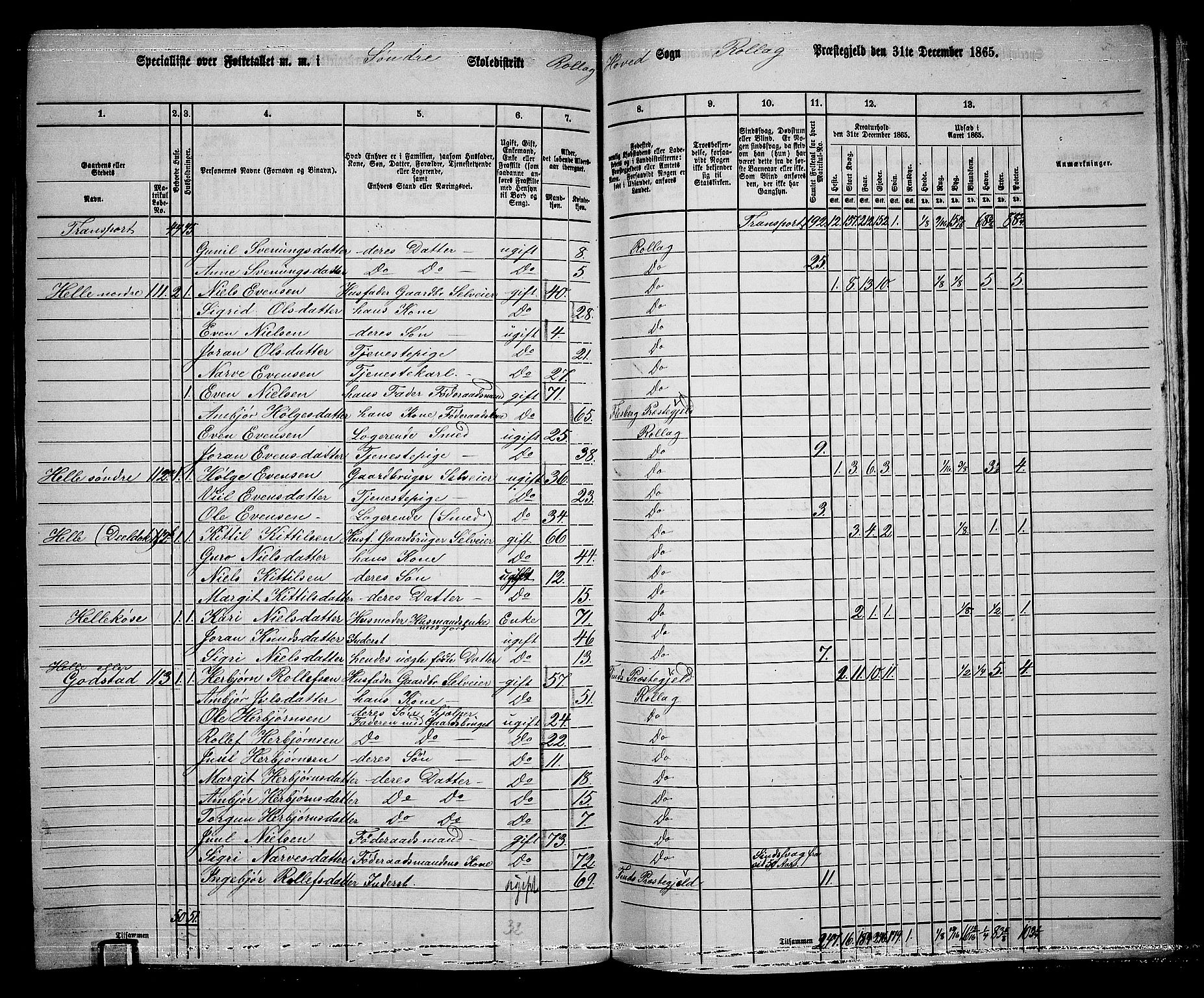 RA, 1865 census for Rollag, 1865, p. 14