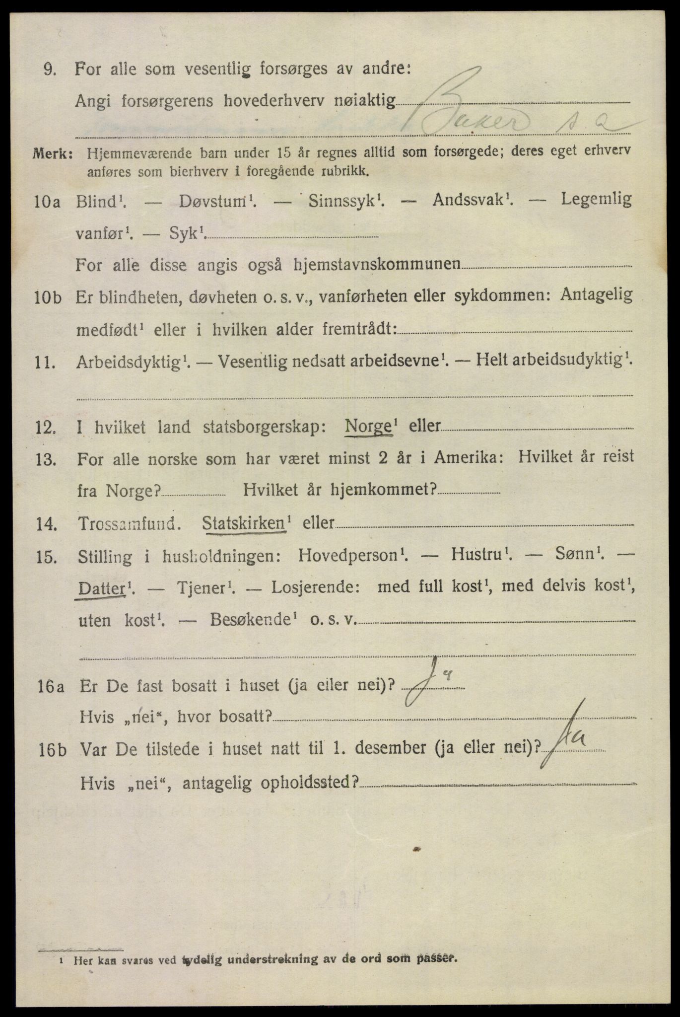 SAKO, 1920 census for Hovin, 1920, p. 1714