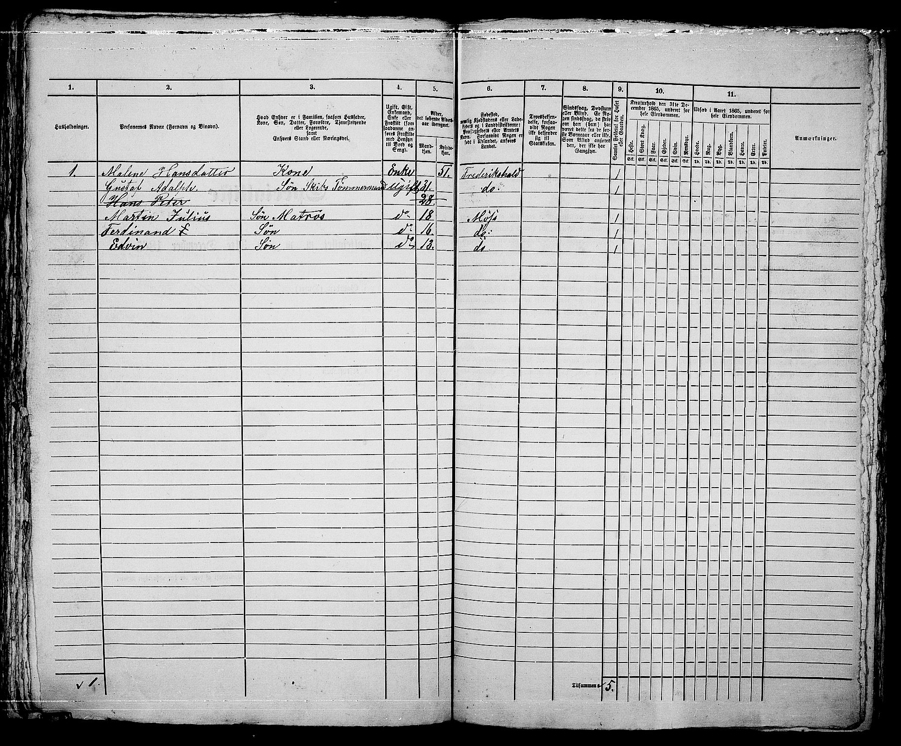 RA, 1865 census for Moss/Moss, 1865, p. 703