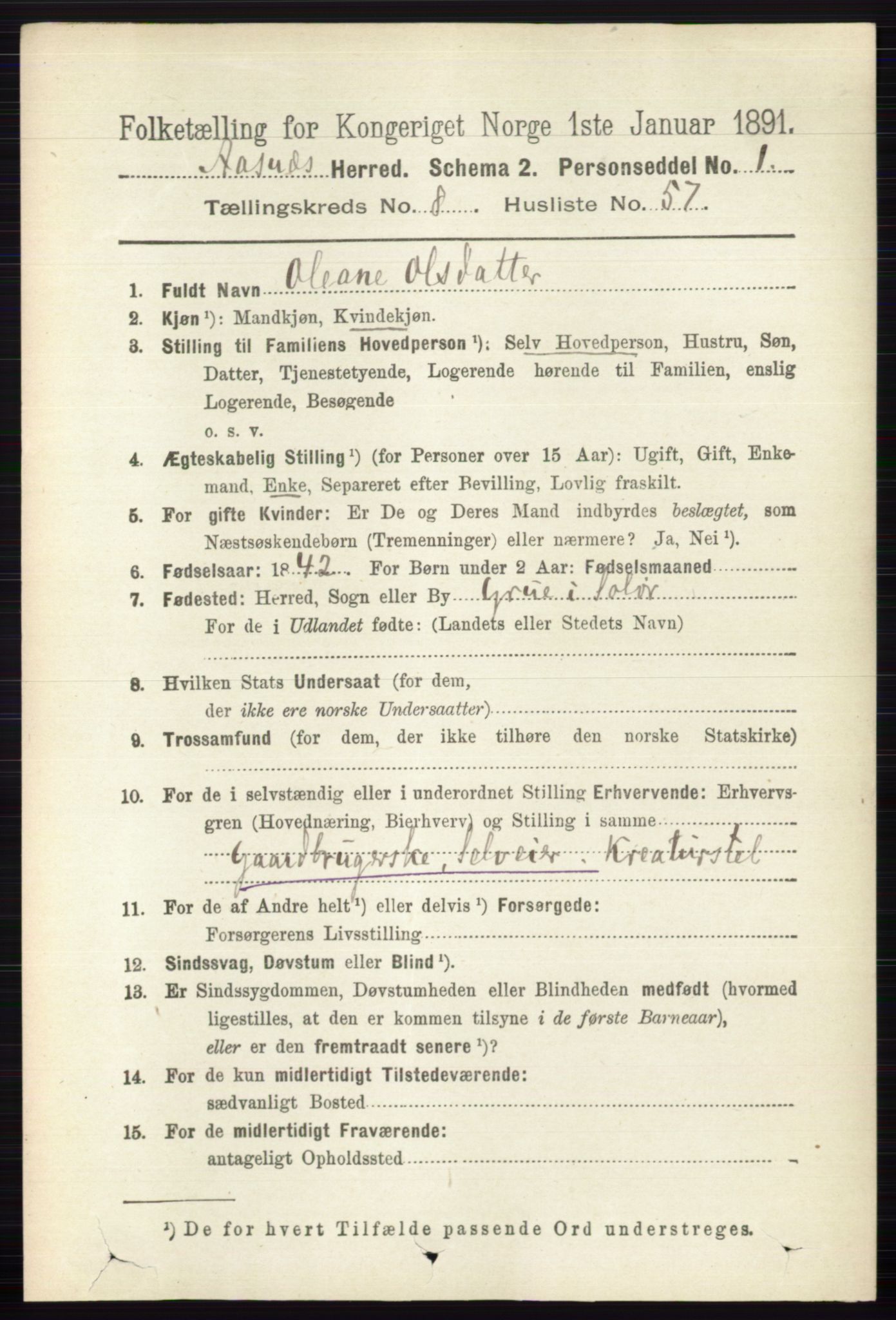 RA, 1891 census for 0425 Åsnes, 1891, p. 4540