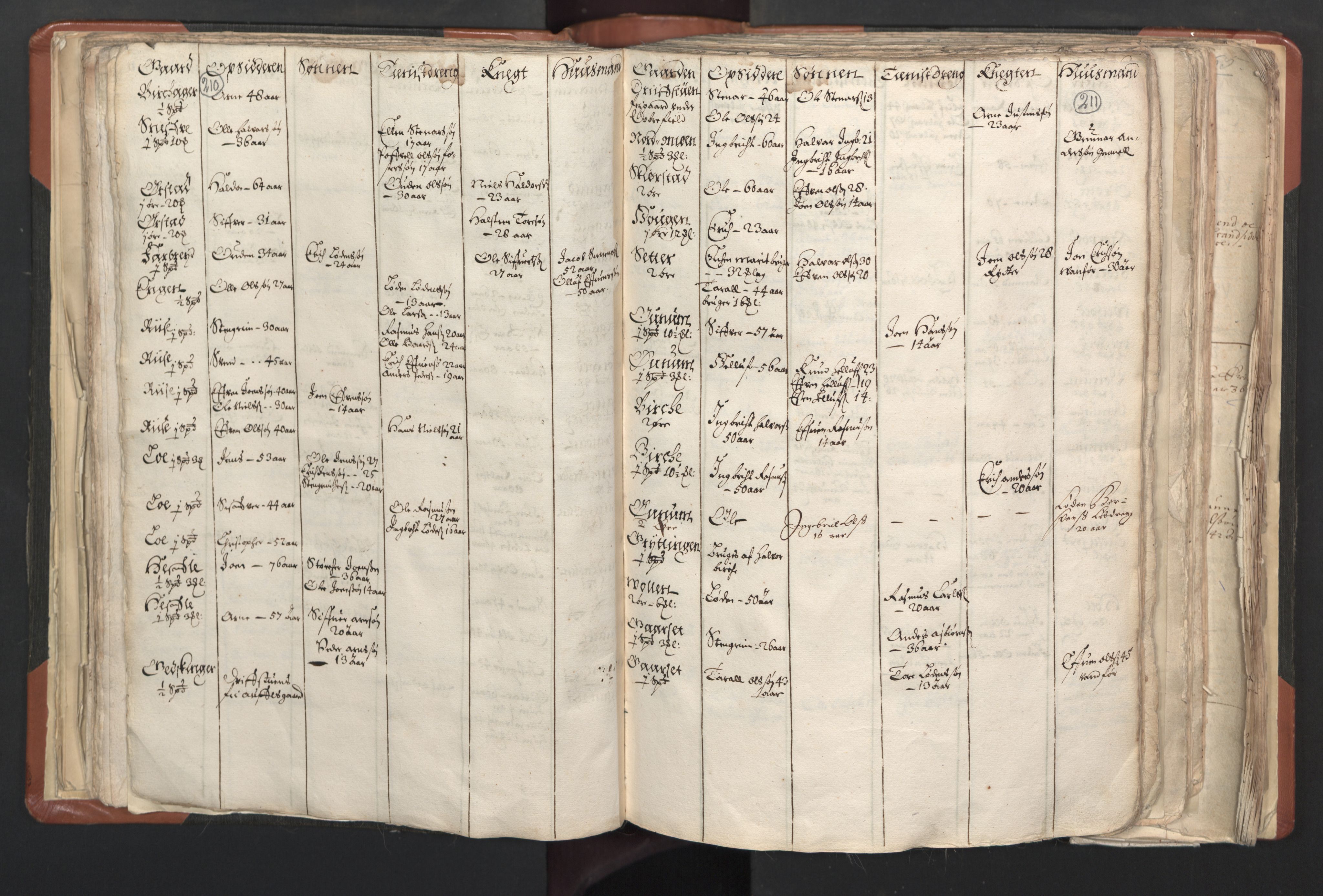 RA, Vicar's Census 1664-1666, no. 31: Dalane deanery, 1664-1666, p. 210-211