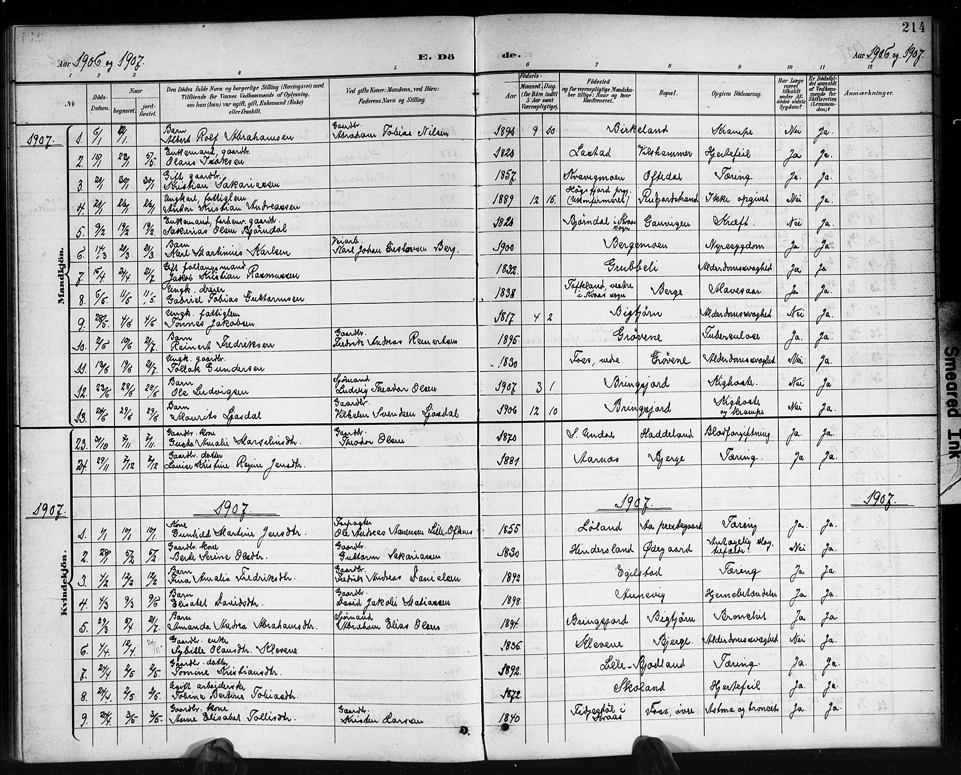 Lyngdal sokneprestkontor, AV/SAK-1111-0029/F/Fb/Fbc/L0005: Parish register (copy) no. B 5, 1897-1913, p. 214