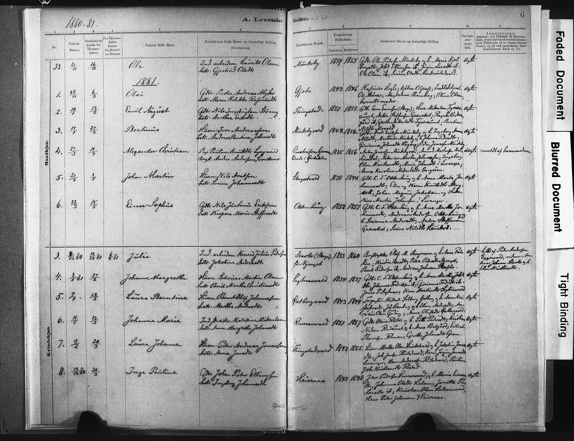 Ministerialprotokoller, klokkerbøker og fødselsregistre - Nord-Trøndelag, SAT/A-1458/721/L0207: Parish register (official) no. 721A02, 1880-1911, p. 6