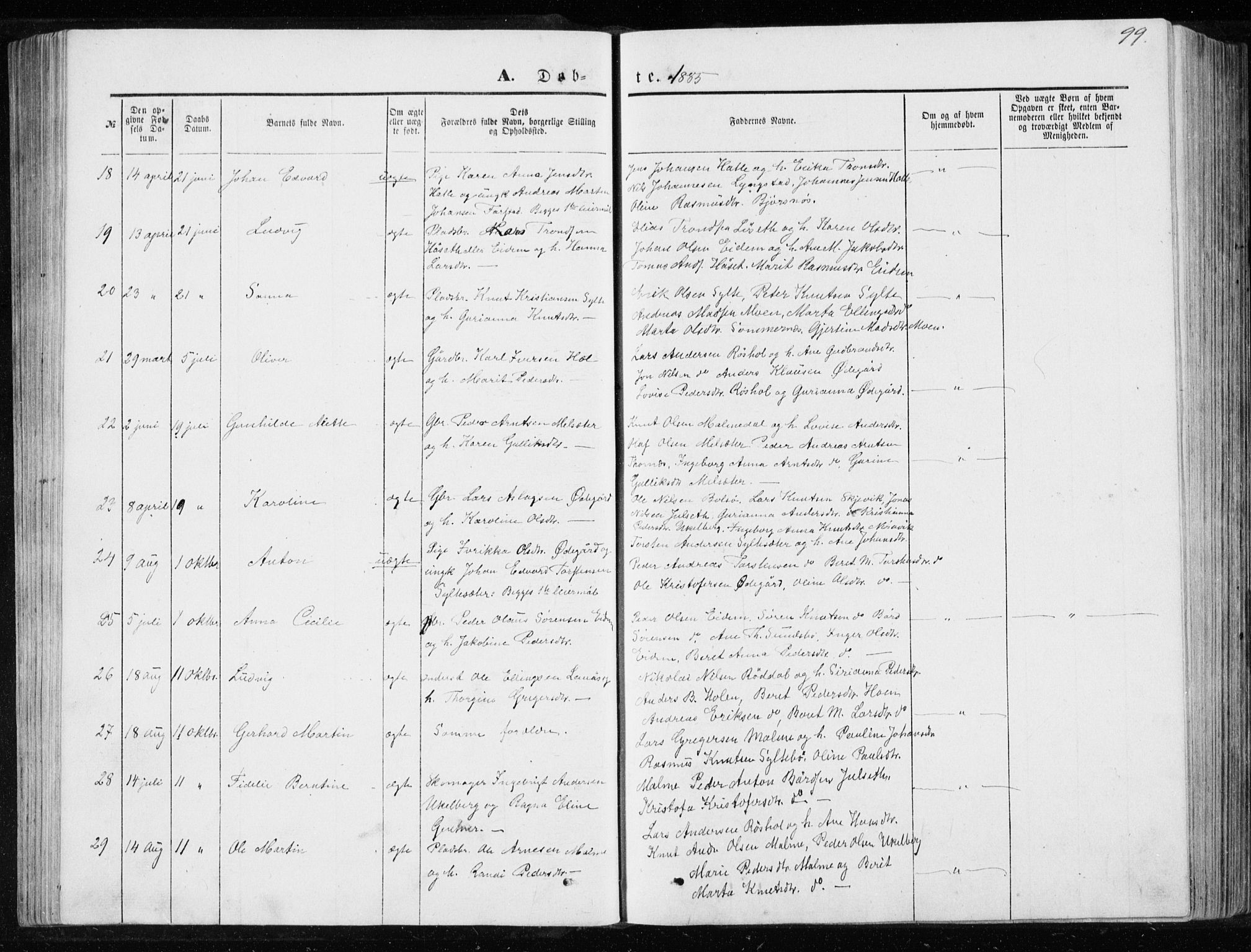 Ministerialprotokoller, klokkerbøker og fødselsregistre - Møre og Romsdal, AV/SAT-A-1454/565/L0754: Parish register (copy) no. 565C03, 1870-1896, p. 99